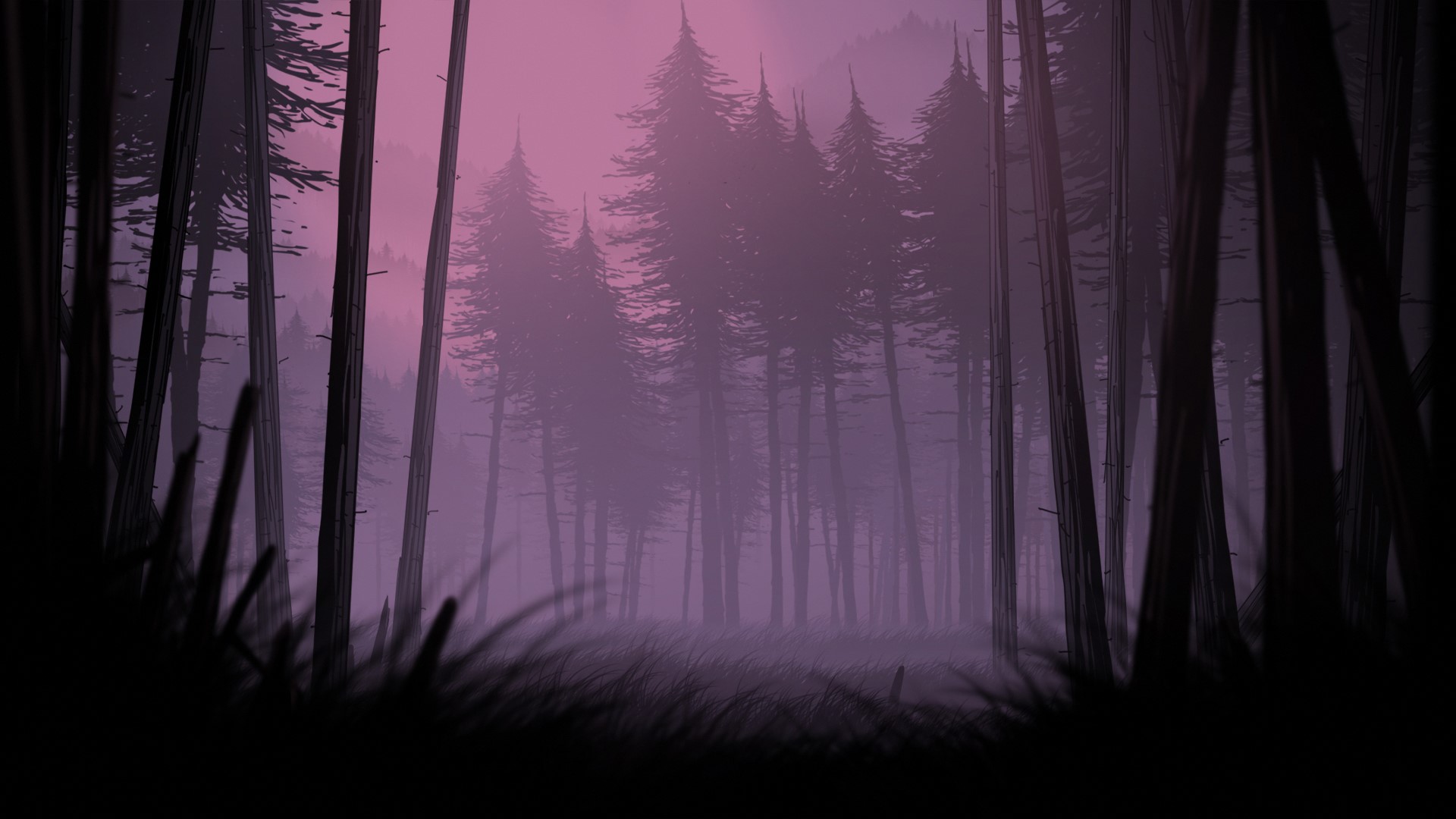 Misty forest at dusk with tall trees HD Wallpaper