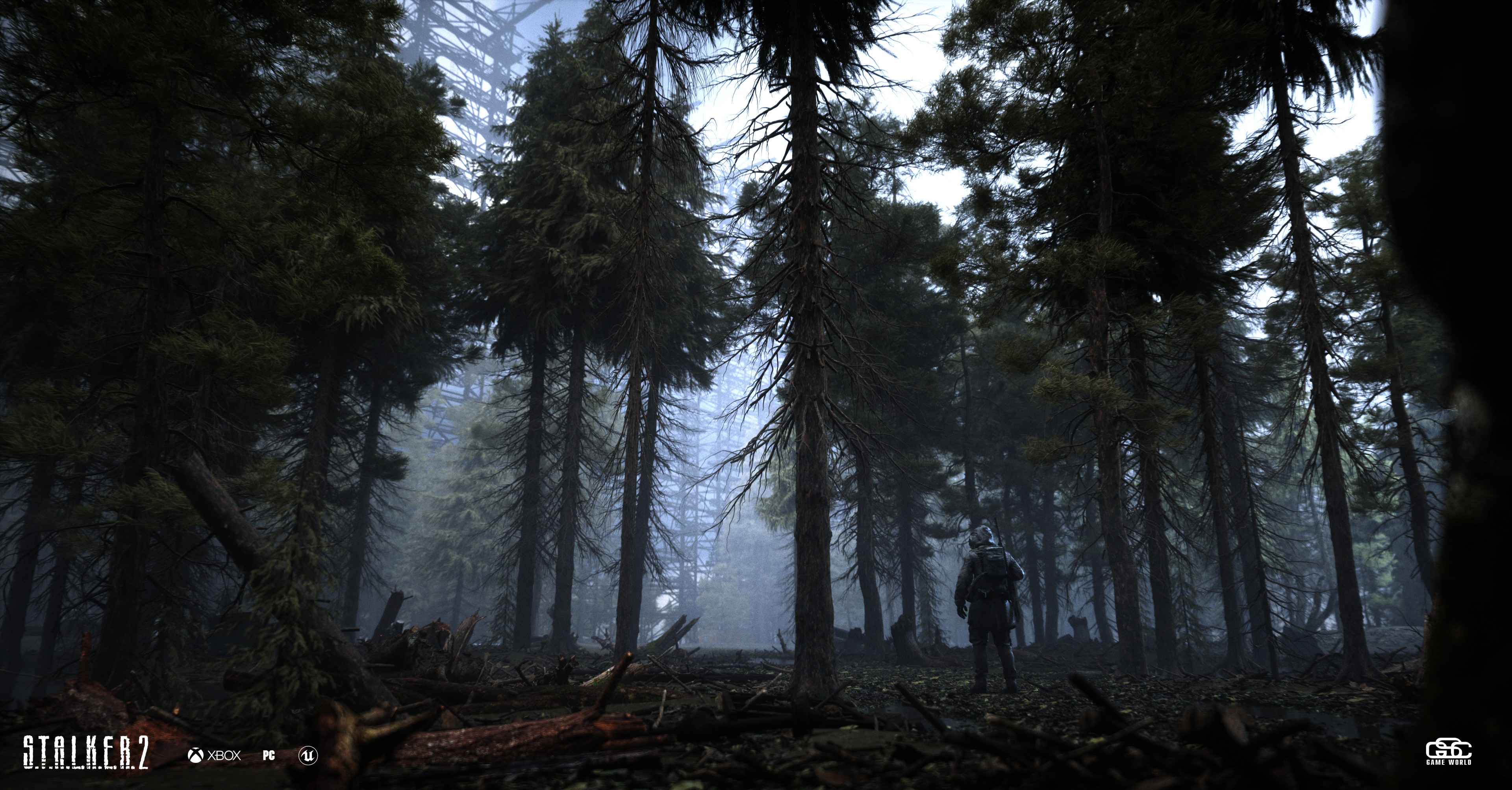 S.T.A.L.K.E.R. 2 character in a foggy forest HD Wallpaper
