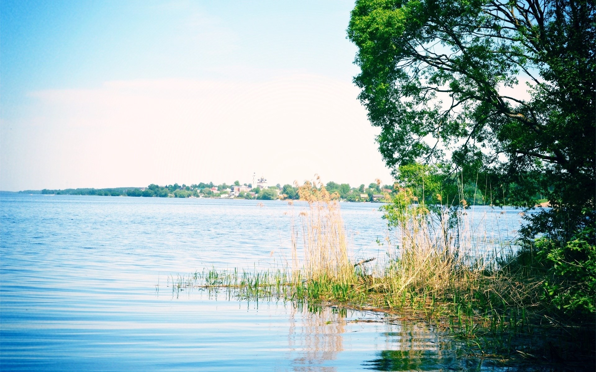 Lake with trees and distant town HD Wallpaper