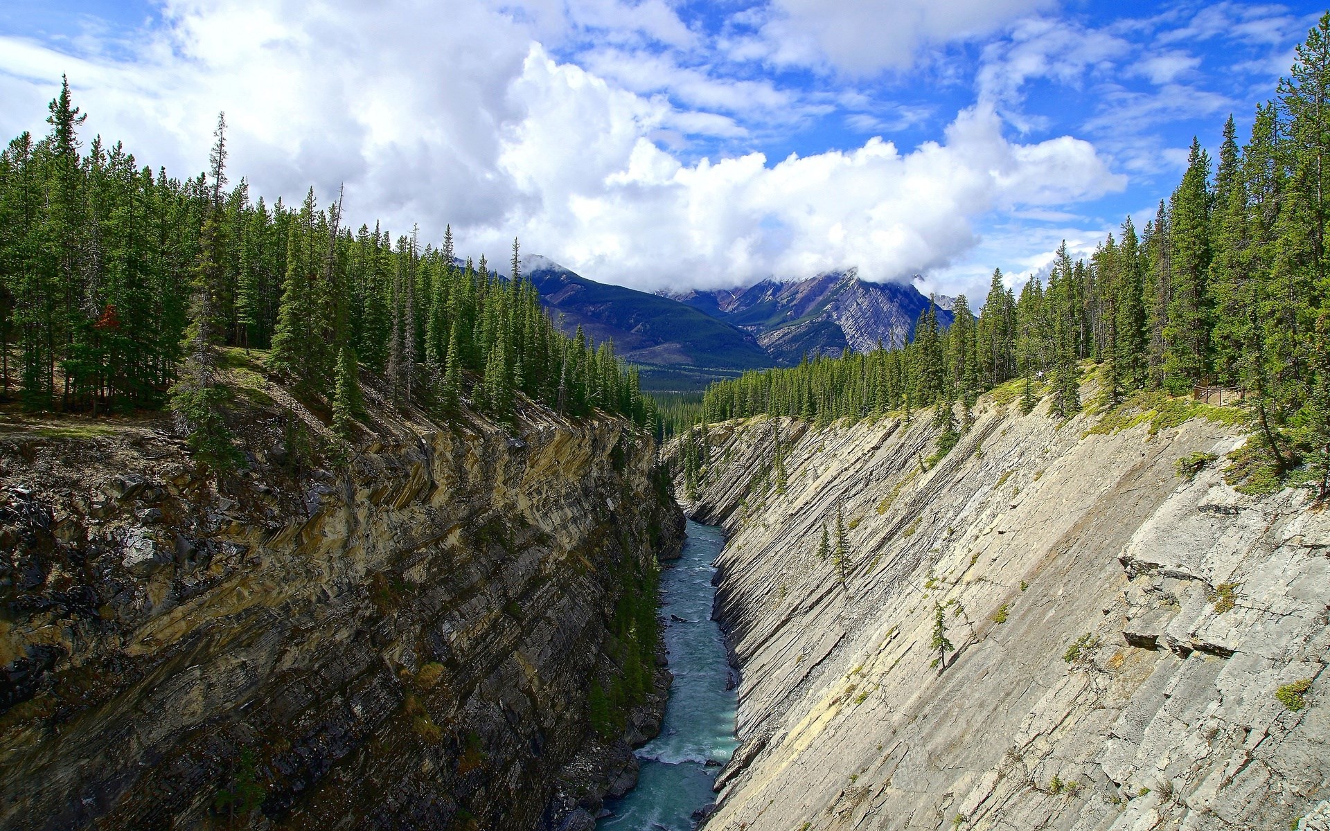River canyon with pine trees and mountains HD Wallpaper