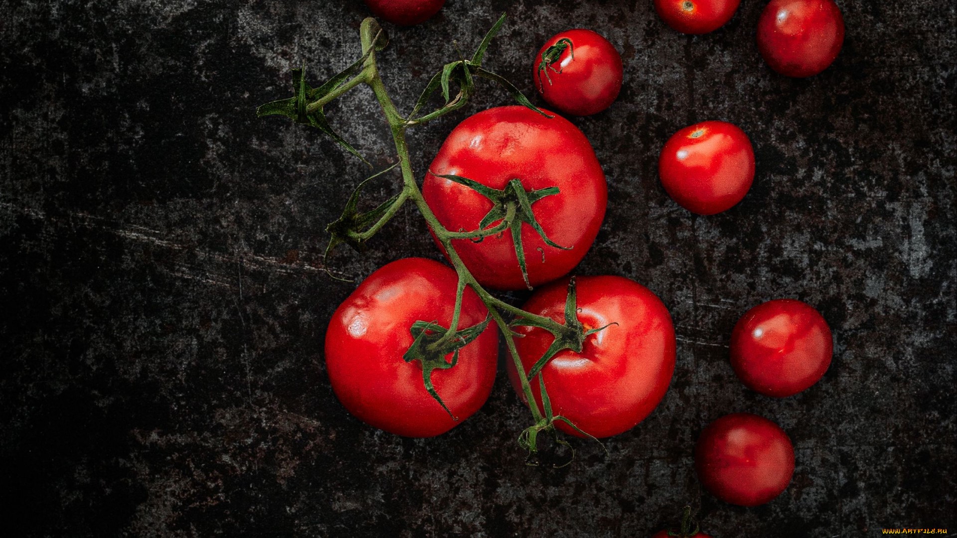Tomatoes on a vine on a dark surface HD Wallpaper