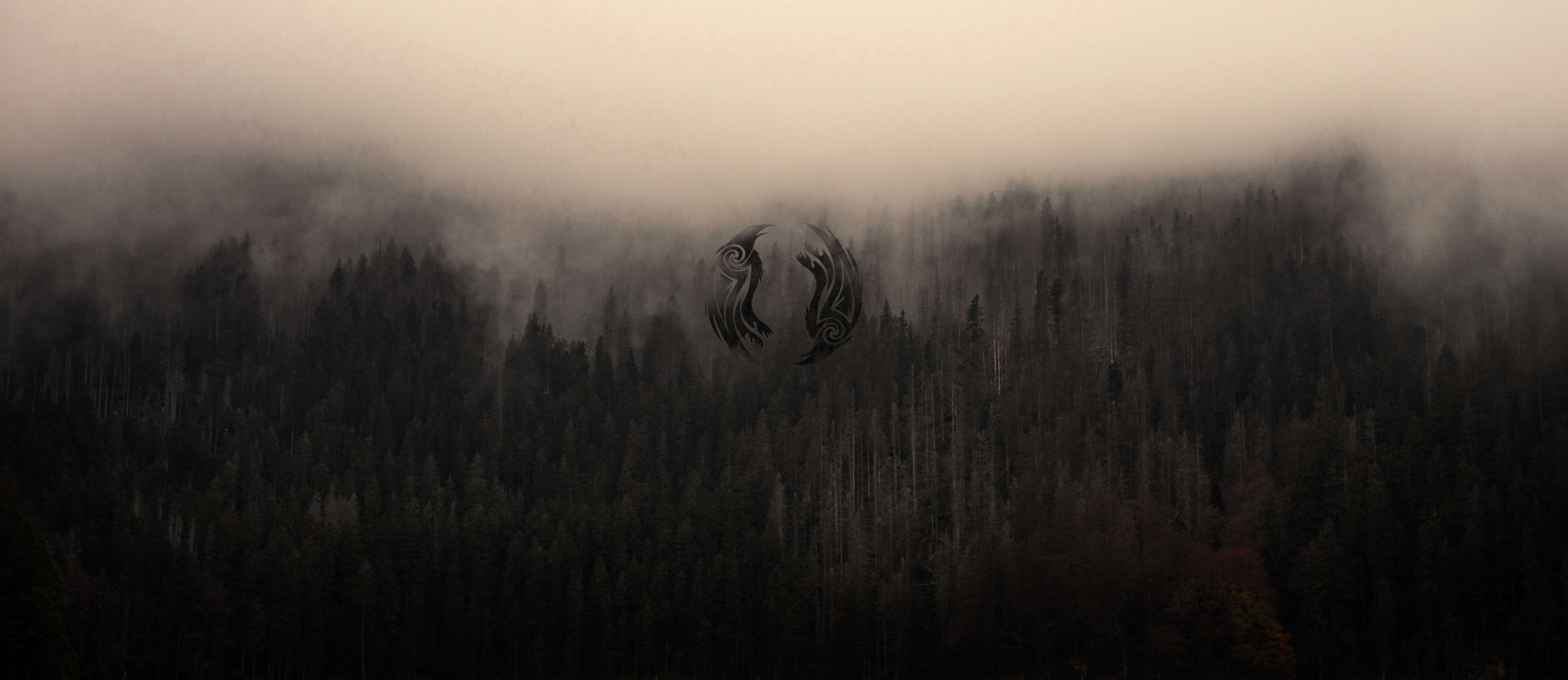 4K Vikings Assassins Creed logo over foggy forest HD Wallpaper