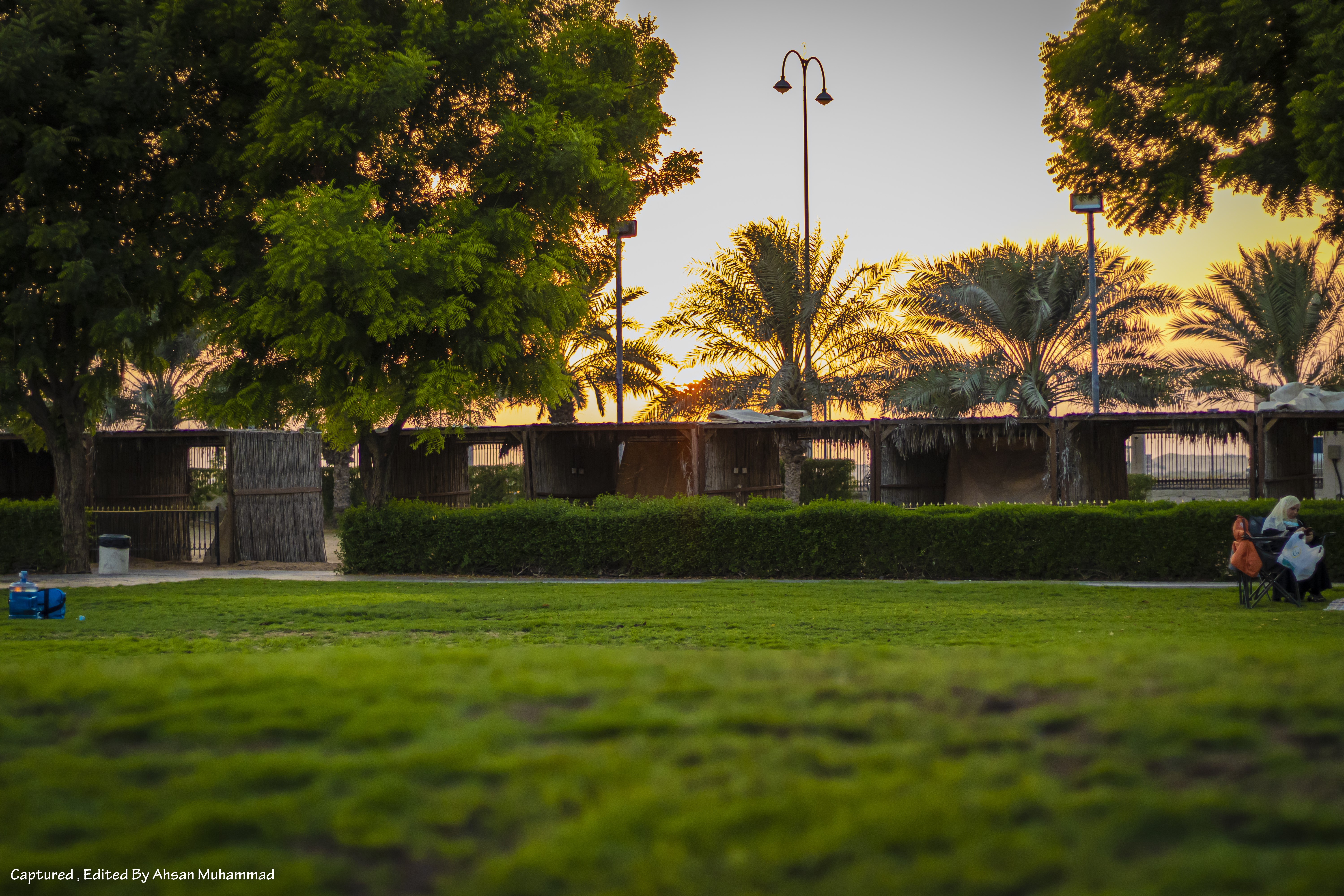 Park with trees and huts at sunset HD Wallpaper