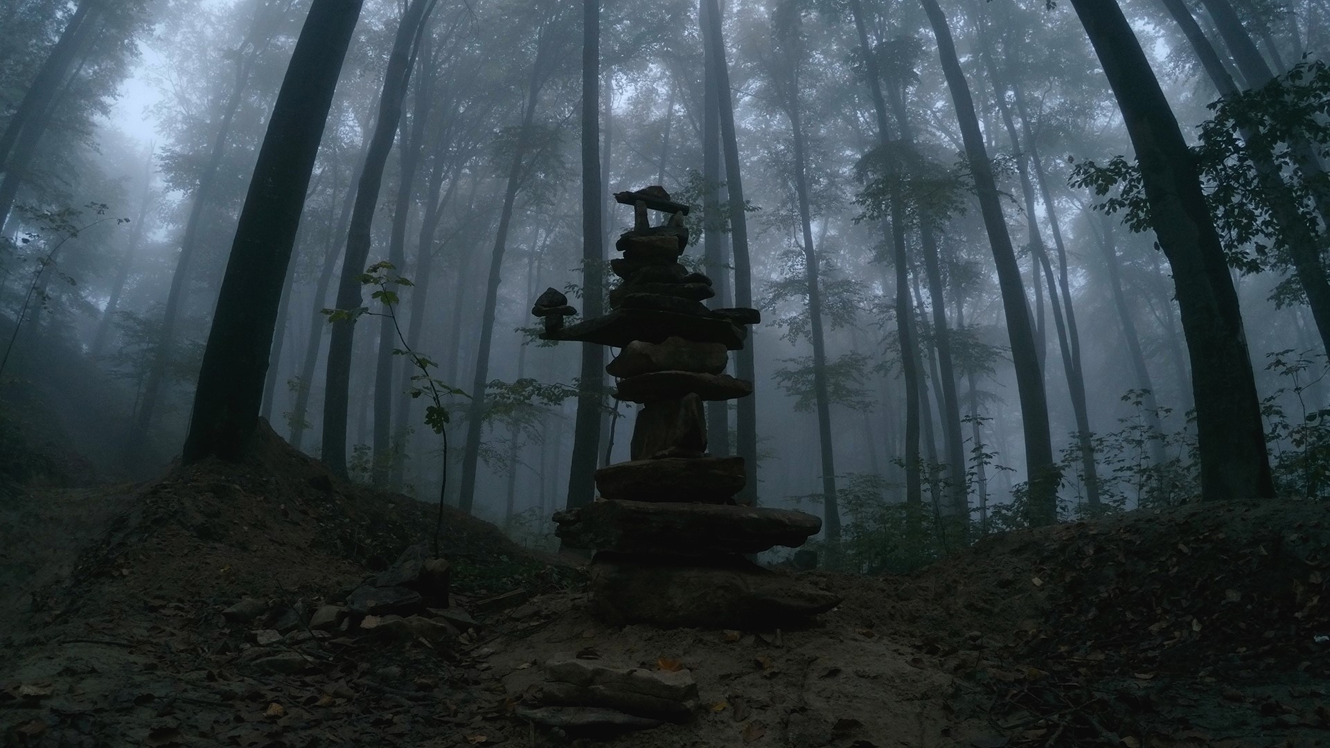 Stone cairn in a misty beech forest at dusk HD Wallpaper