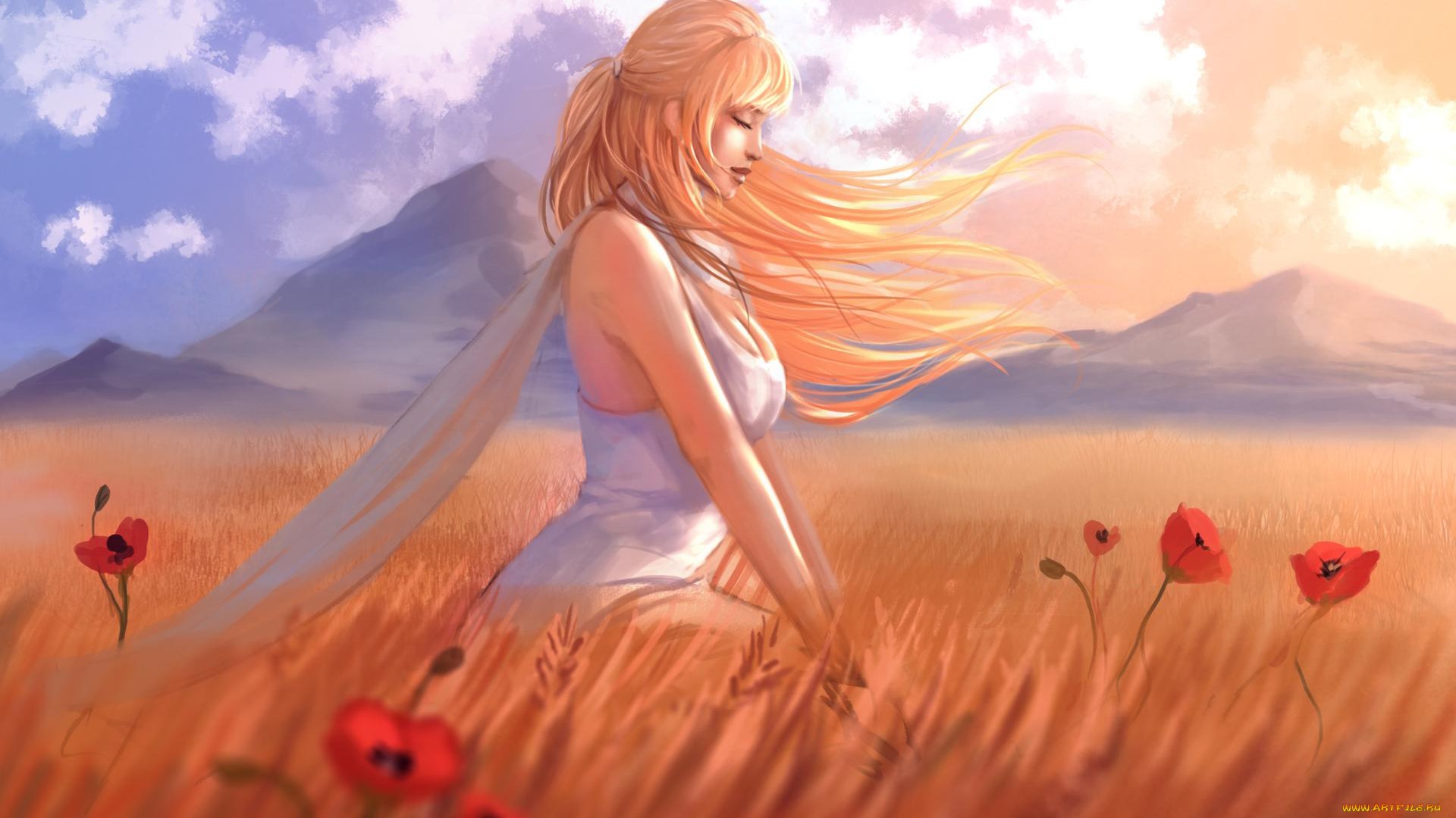 Woman with blonde hair in a field of wheat and poppies HD Wallpaper