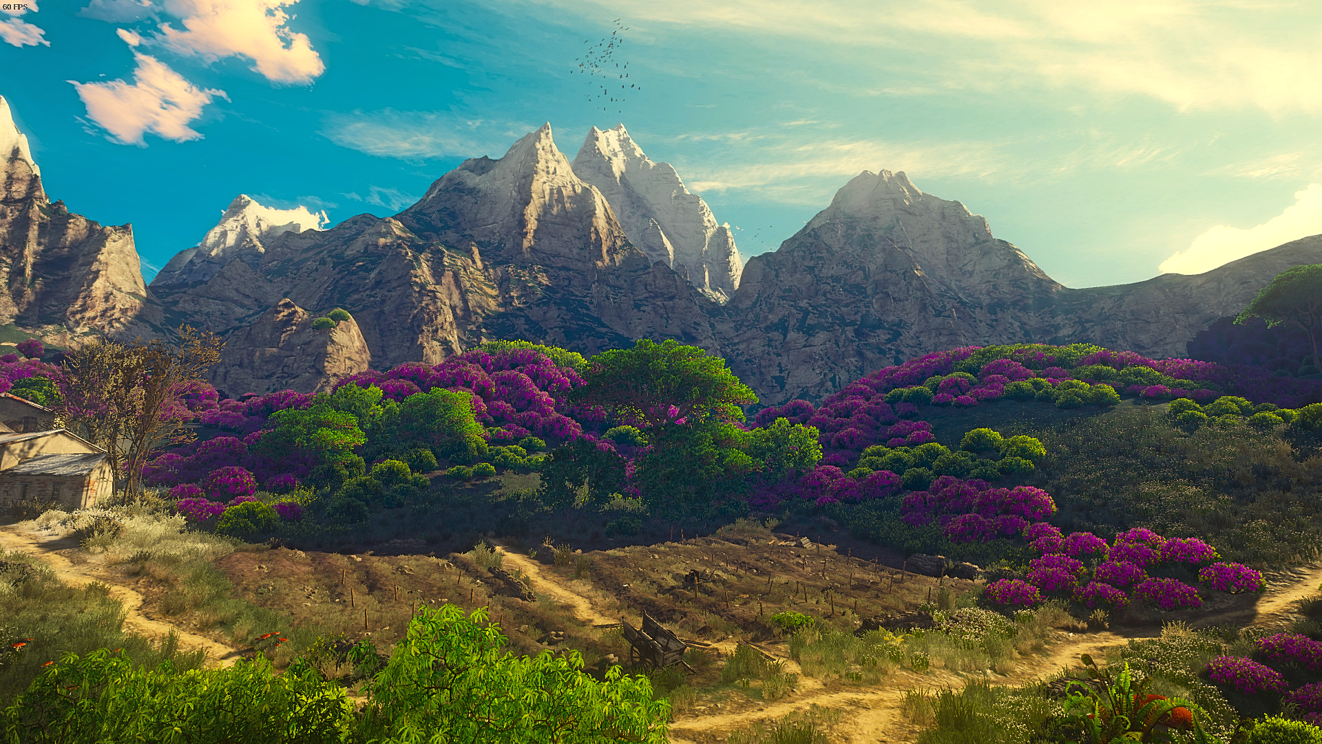 The Witcher 3: Wild Hunt landscape HD Wallpaper