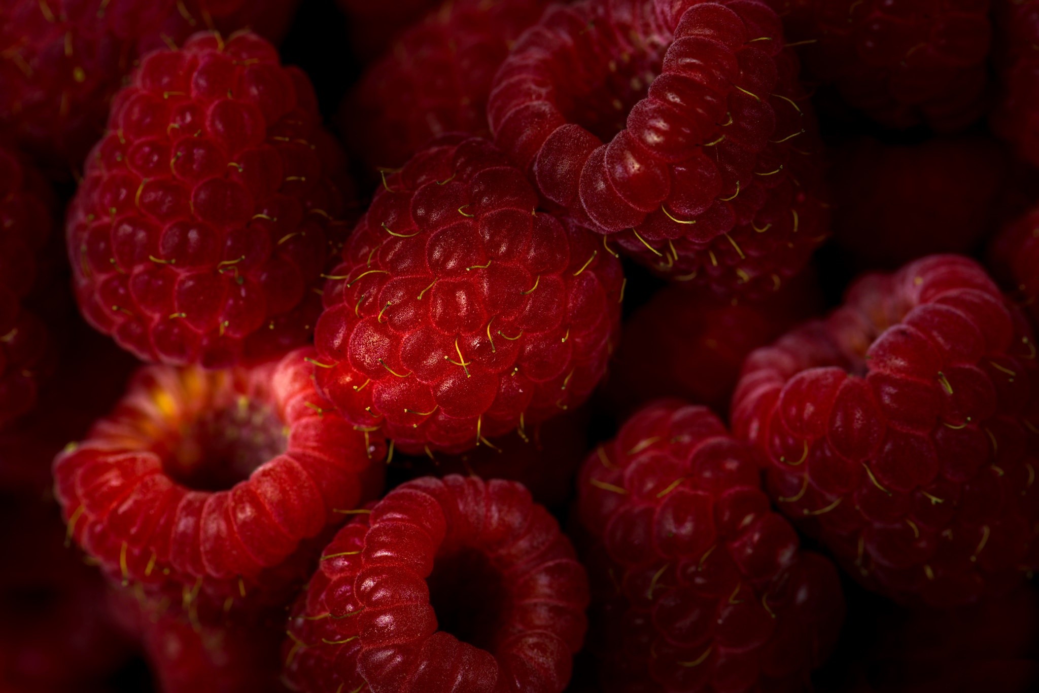 Close-up of fresh red raspberries HD Wallpaper