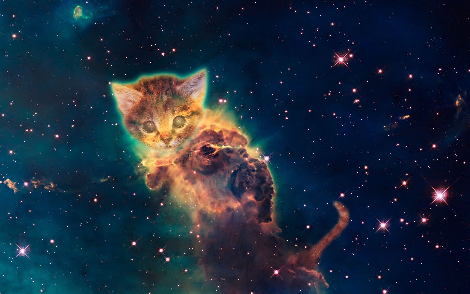 Kitten in a colorful nebula in outer space HD Wallpaper