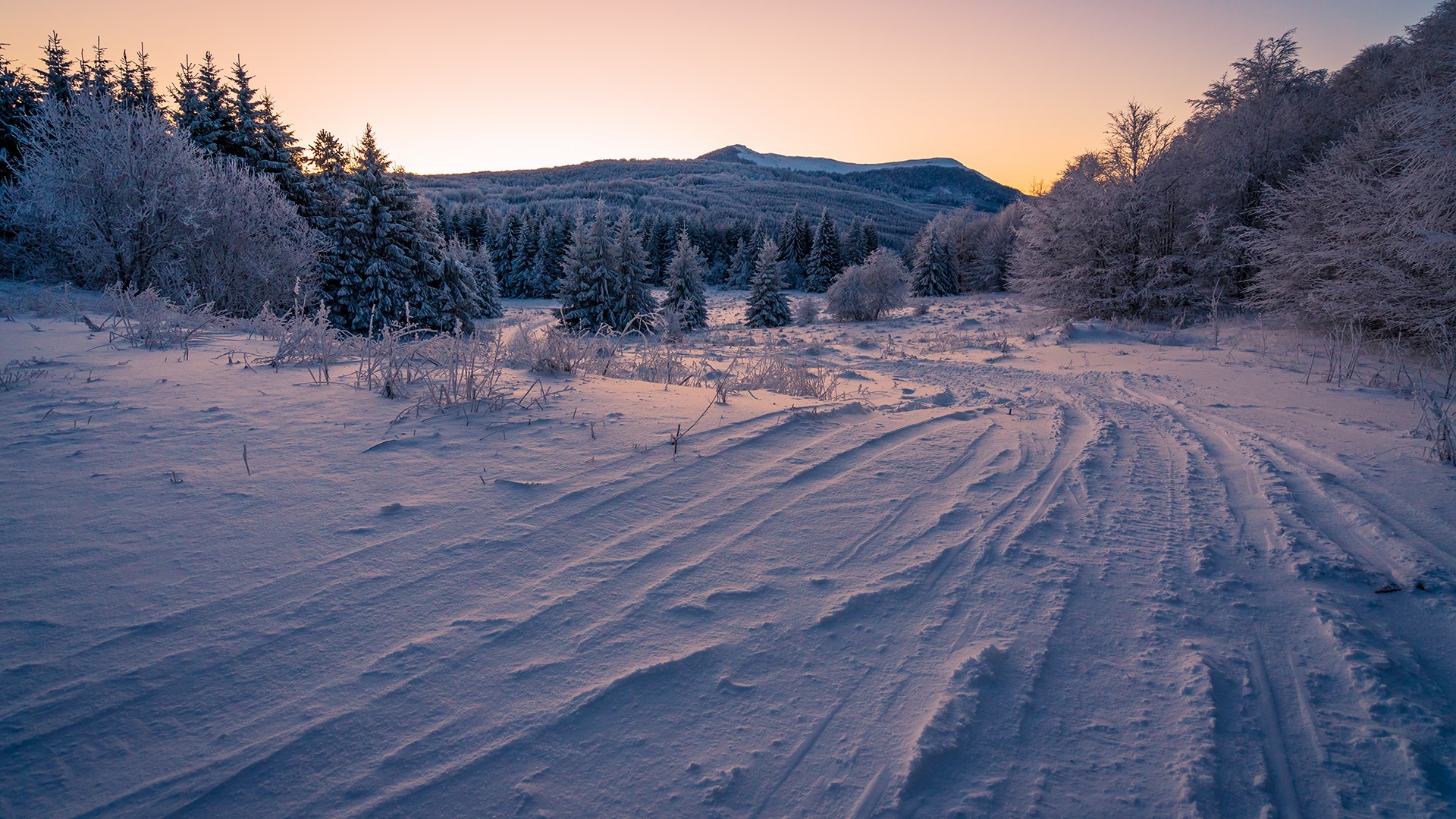 Snowy mountain landscape at sunset with frosted trees HD Wallpaper