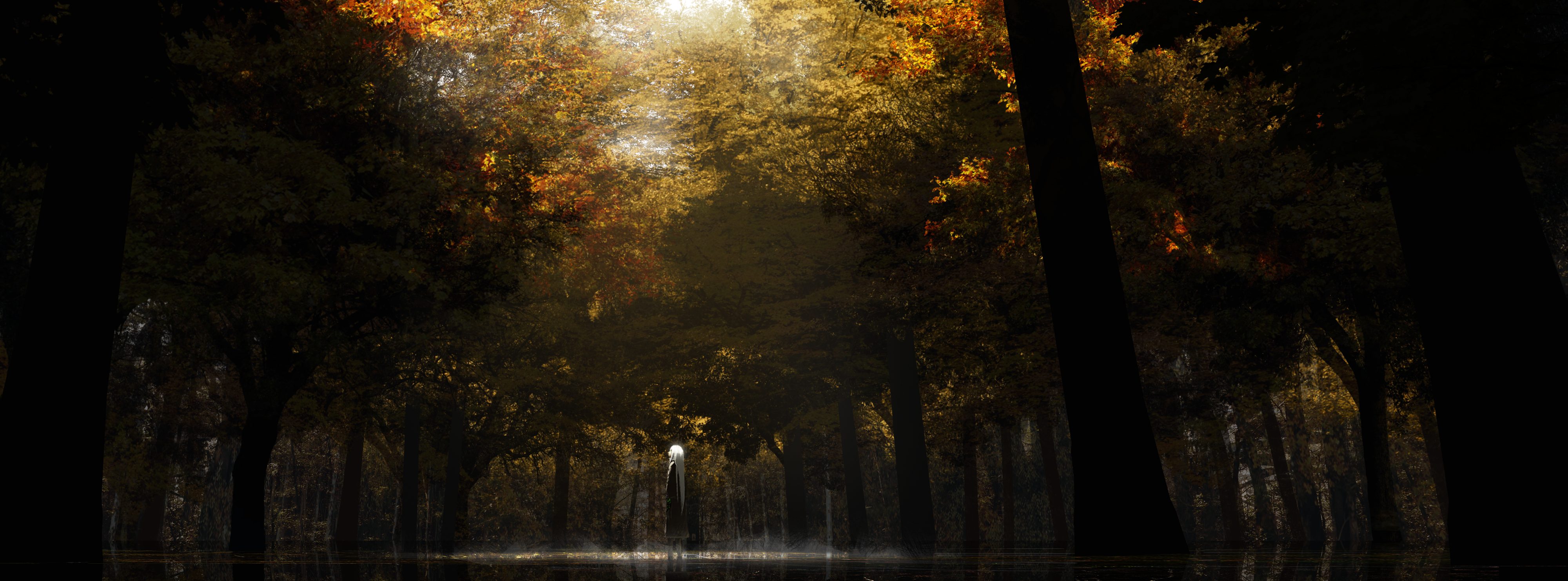 4K fall forest with a fountain HD Wallpaper