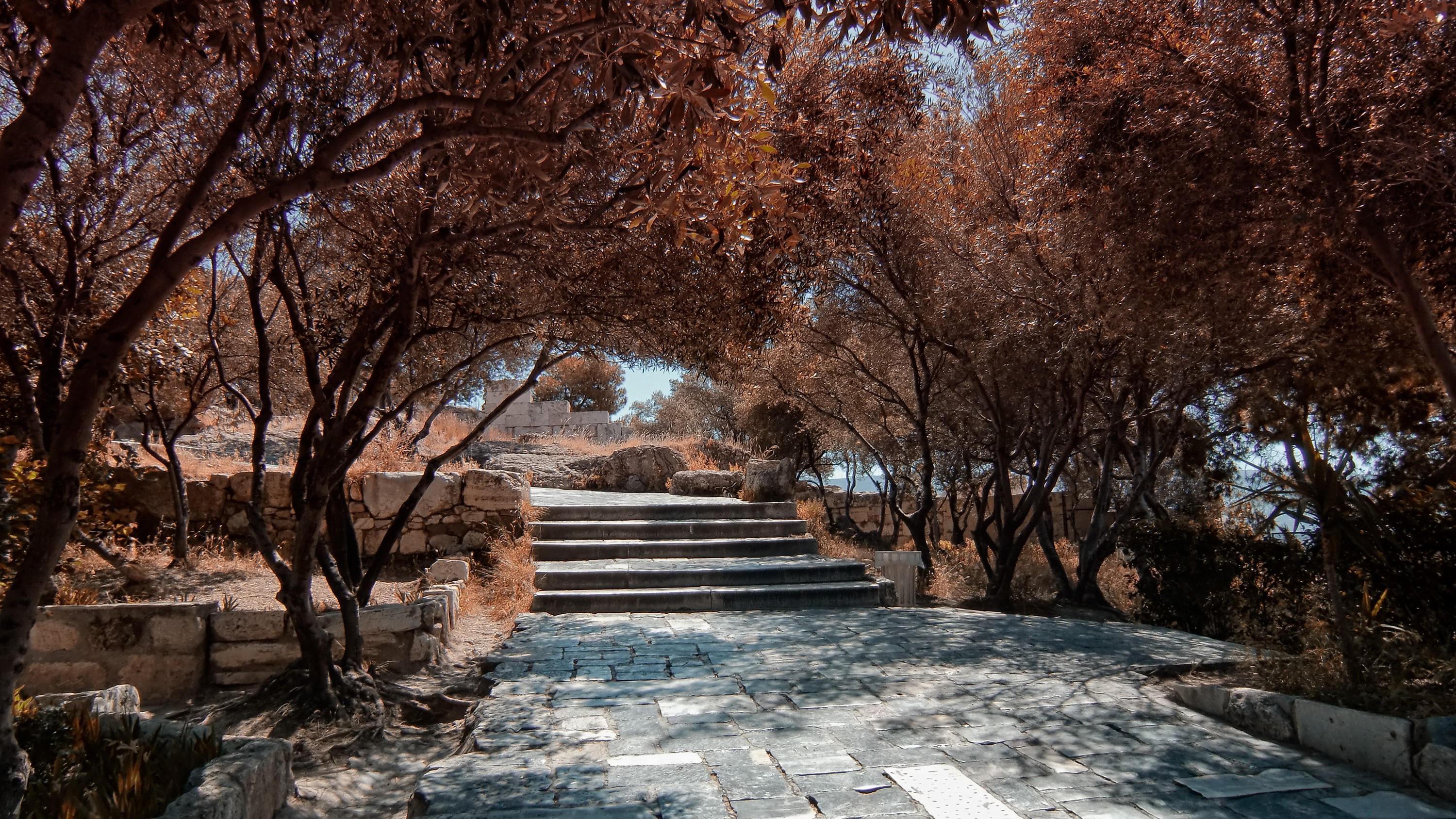 Stone stairs and trees in an outdoor setting HD Wallpaper