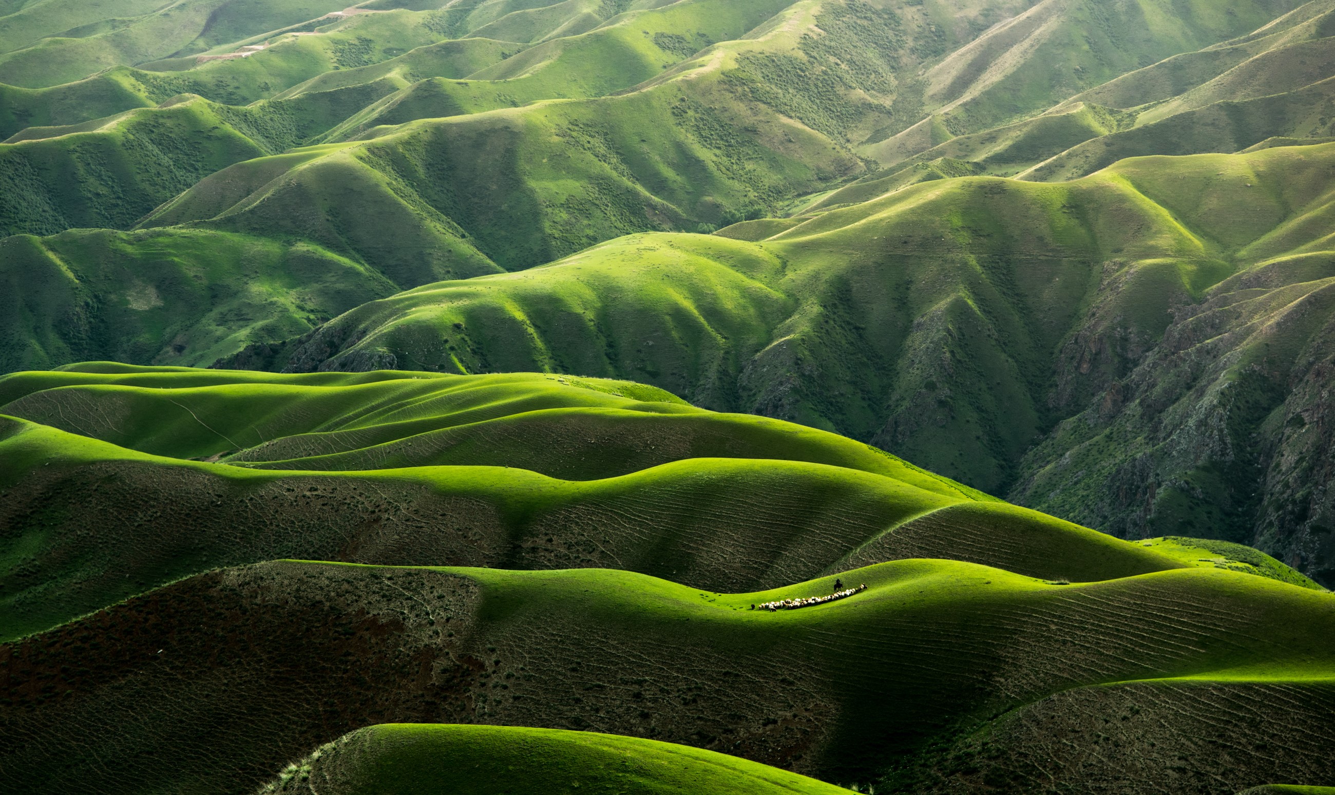 Rolling green hills in China HD Wallpaper