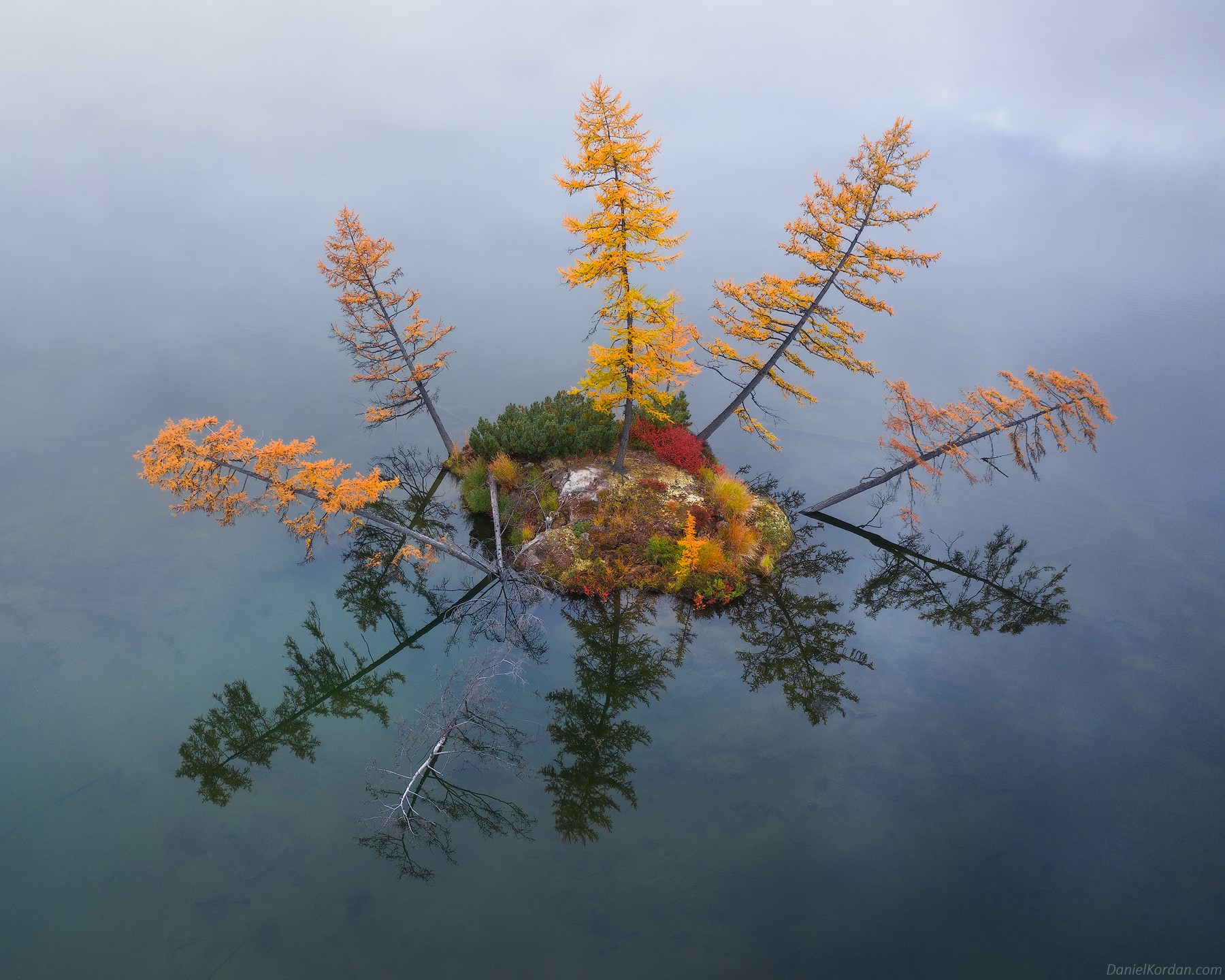Autumn island with trees reflected in water HD Wallpaper
