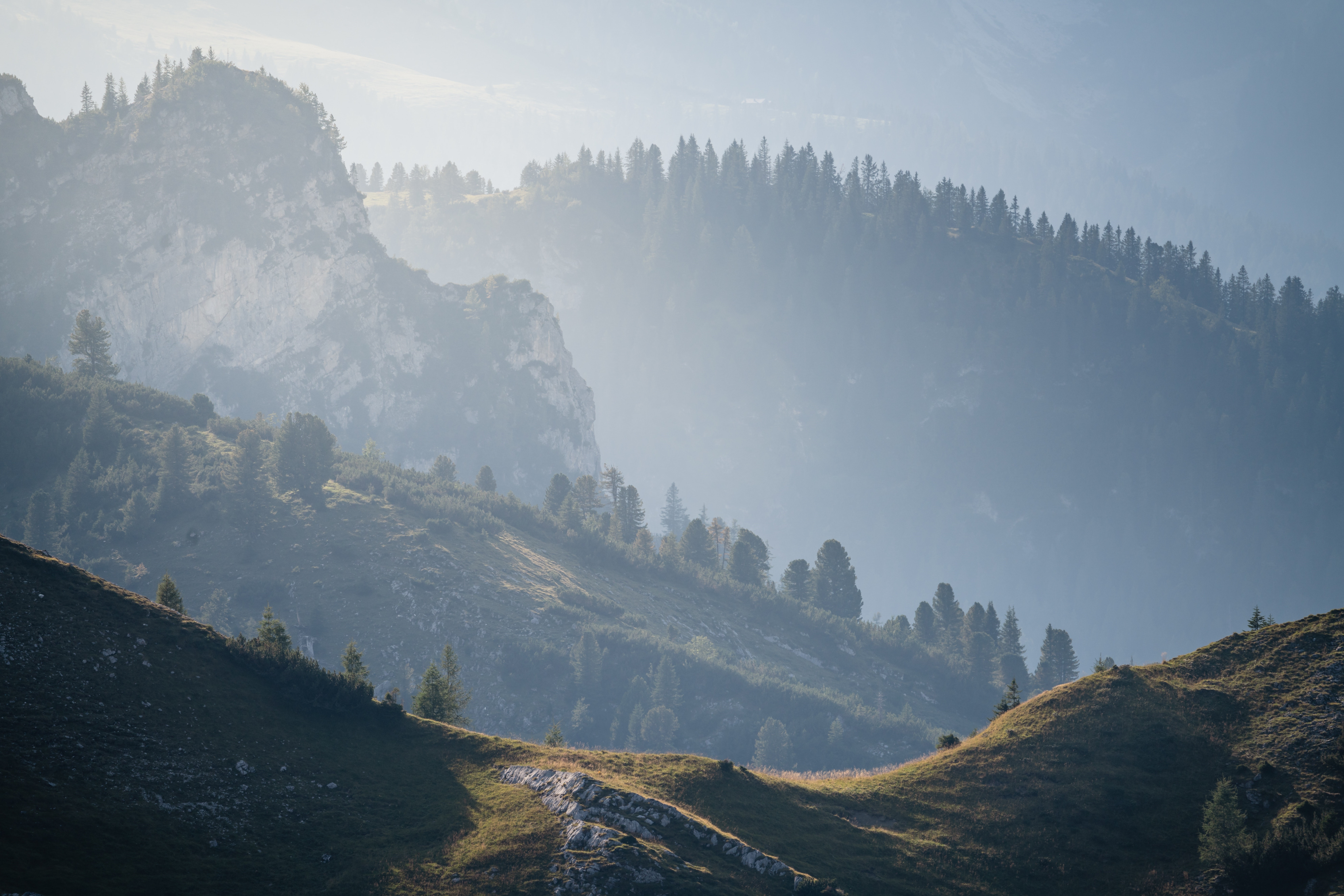 Mountains and forest landscape HD Wallpaper