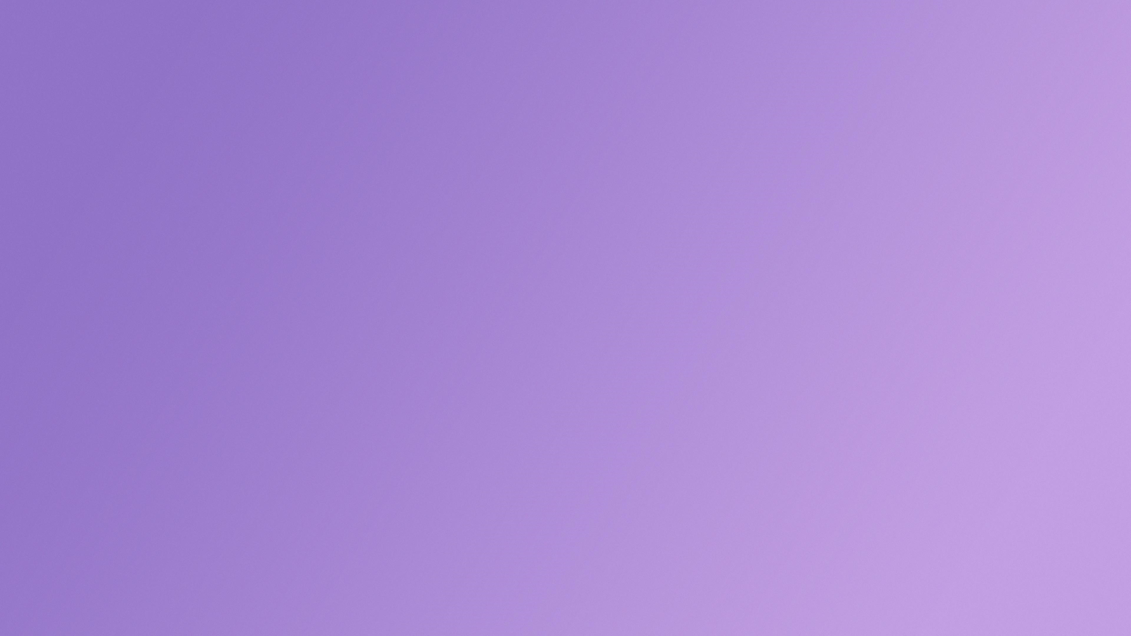 Purple and blue gradient background HD Wallpaper