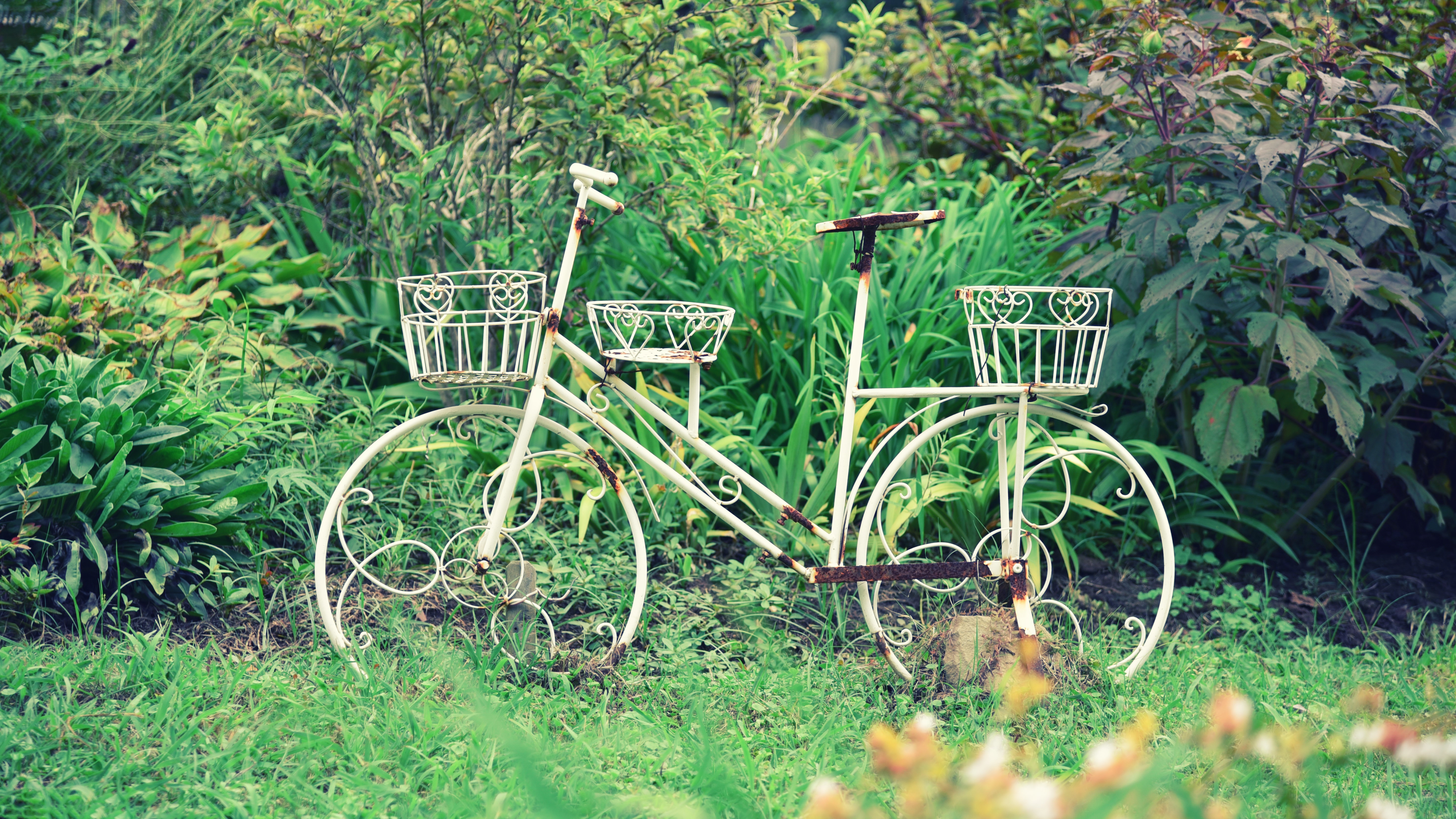 White bicycle planter in a garden HD Wallpaper