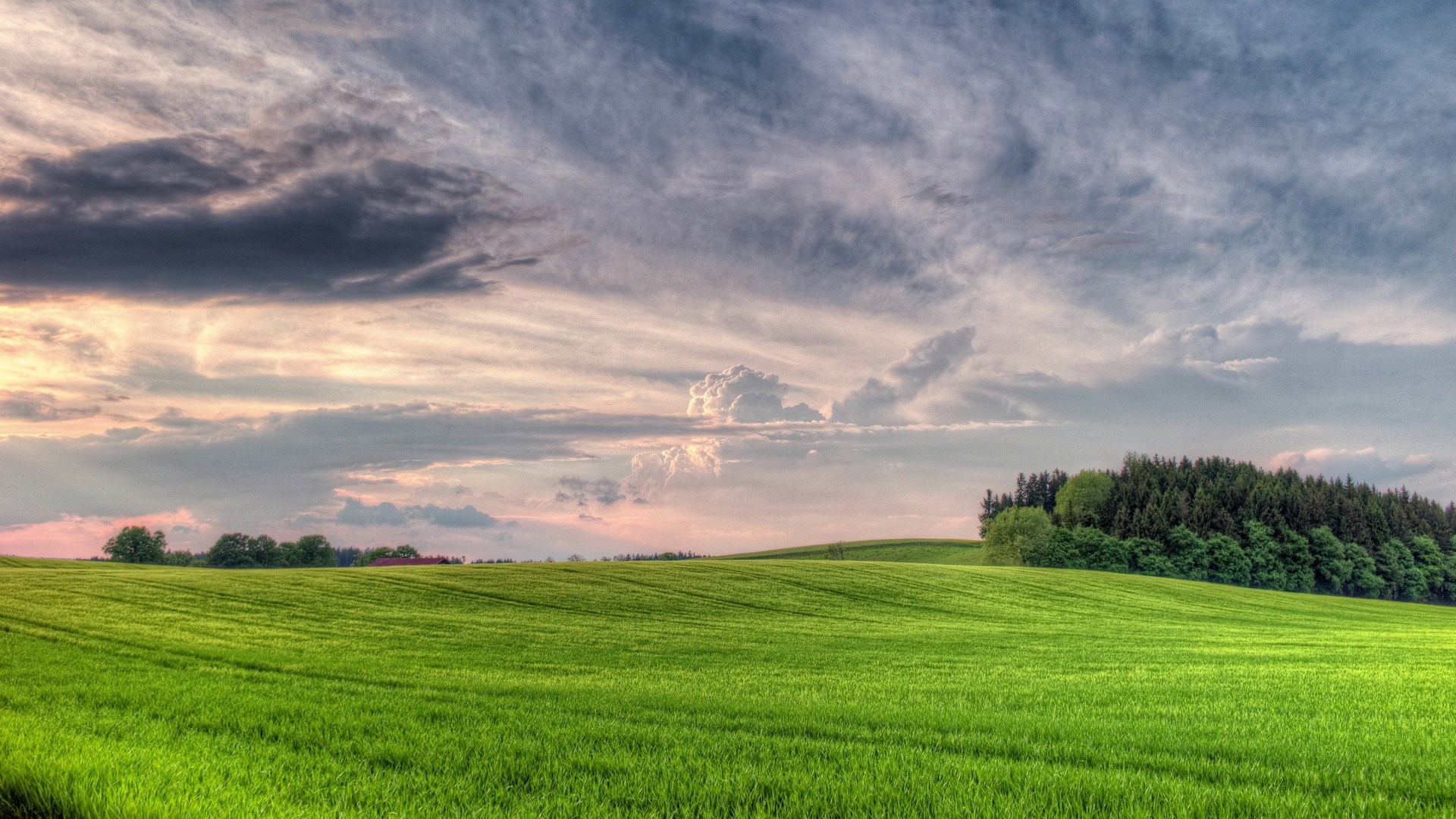 Green rolling hills under a cloudy sky HD Wallpaper