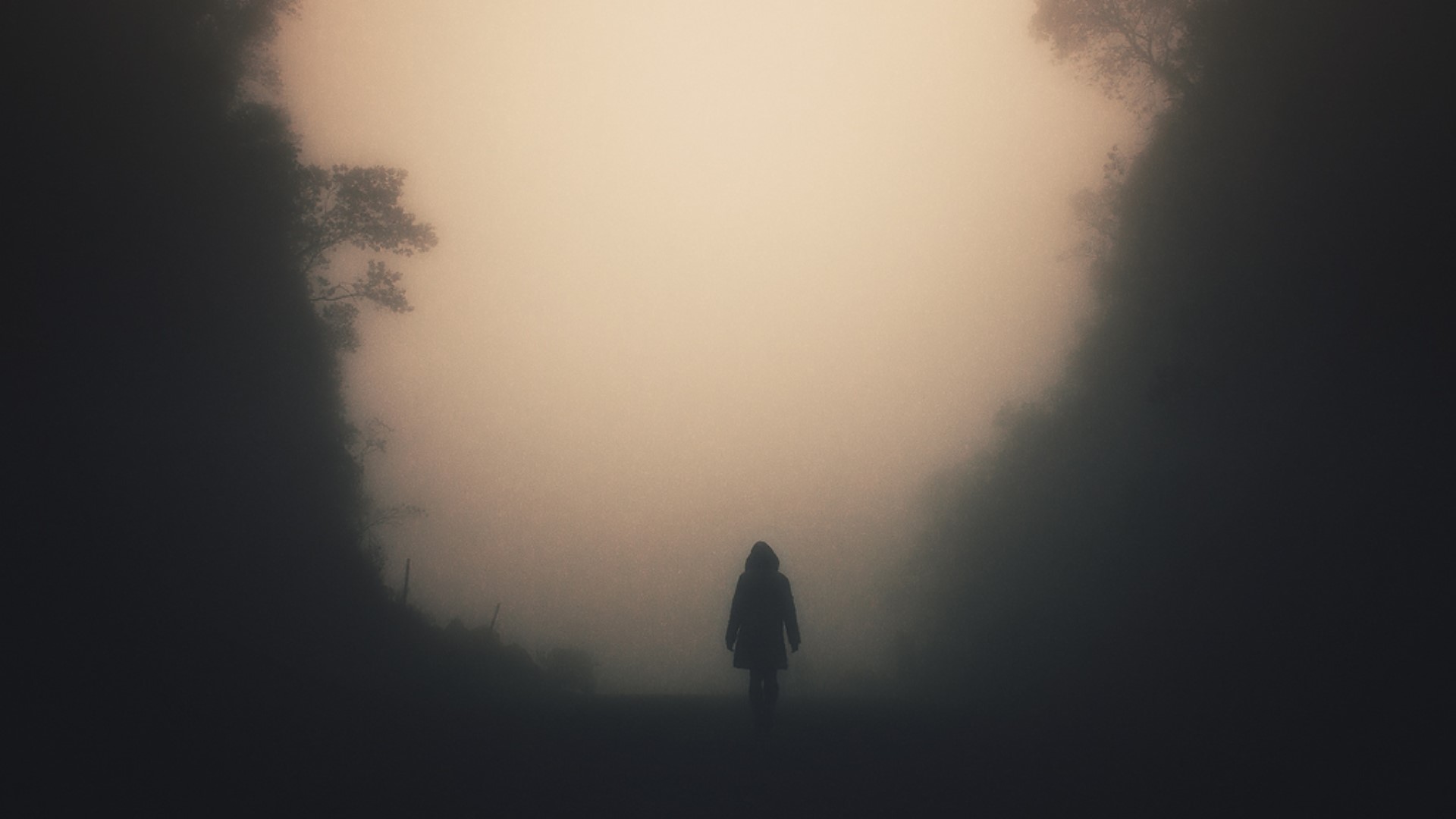 Woman walking through a foggy forest HD Wallpaper