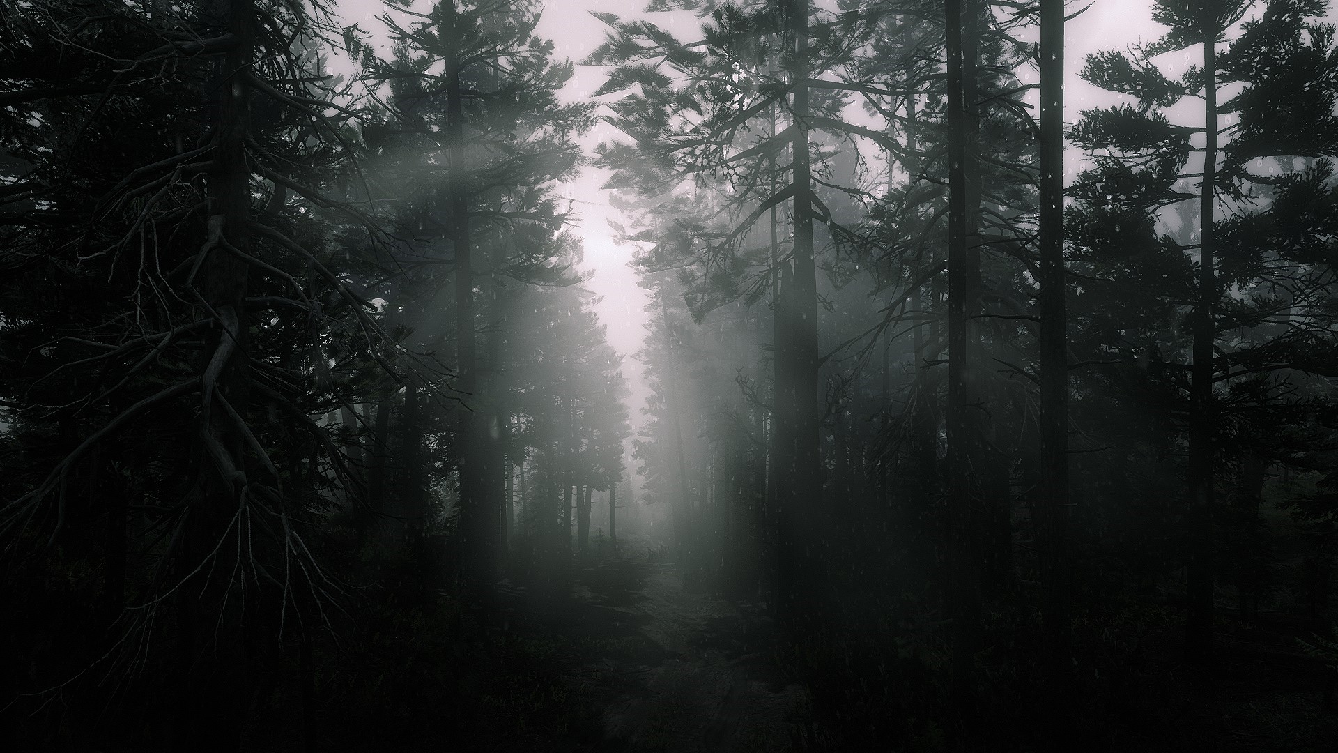 Dark forest with sun rays in Red Dead Redemption 2 HD Wallpaper