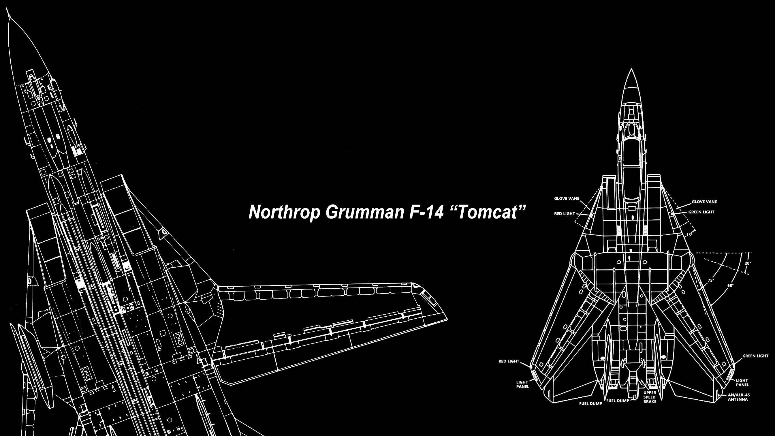 Northrop Grumman F-14 Tomcat Blueprint HD Wallpaper