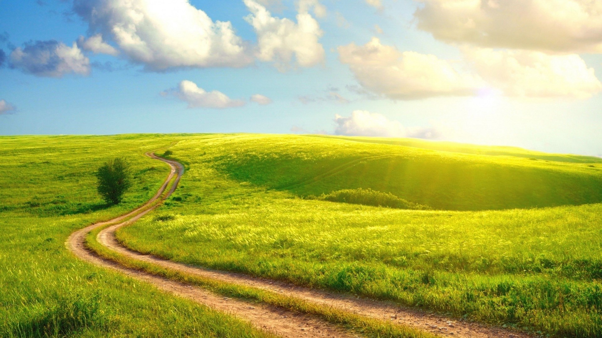 A winding dirt road through a green meadow under a blue sky HD Wallpaper