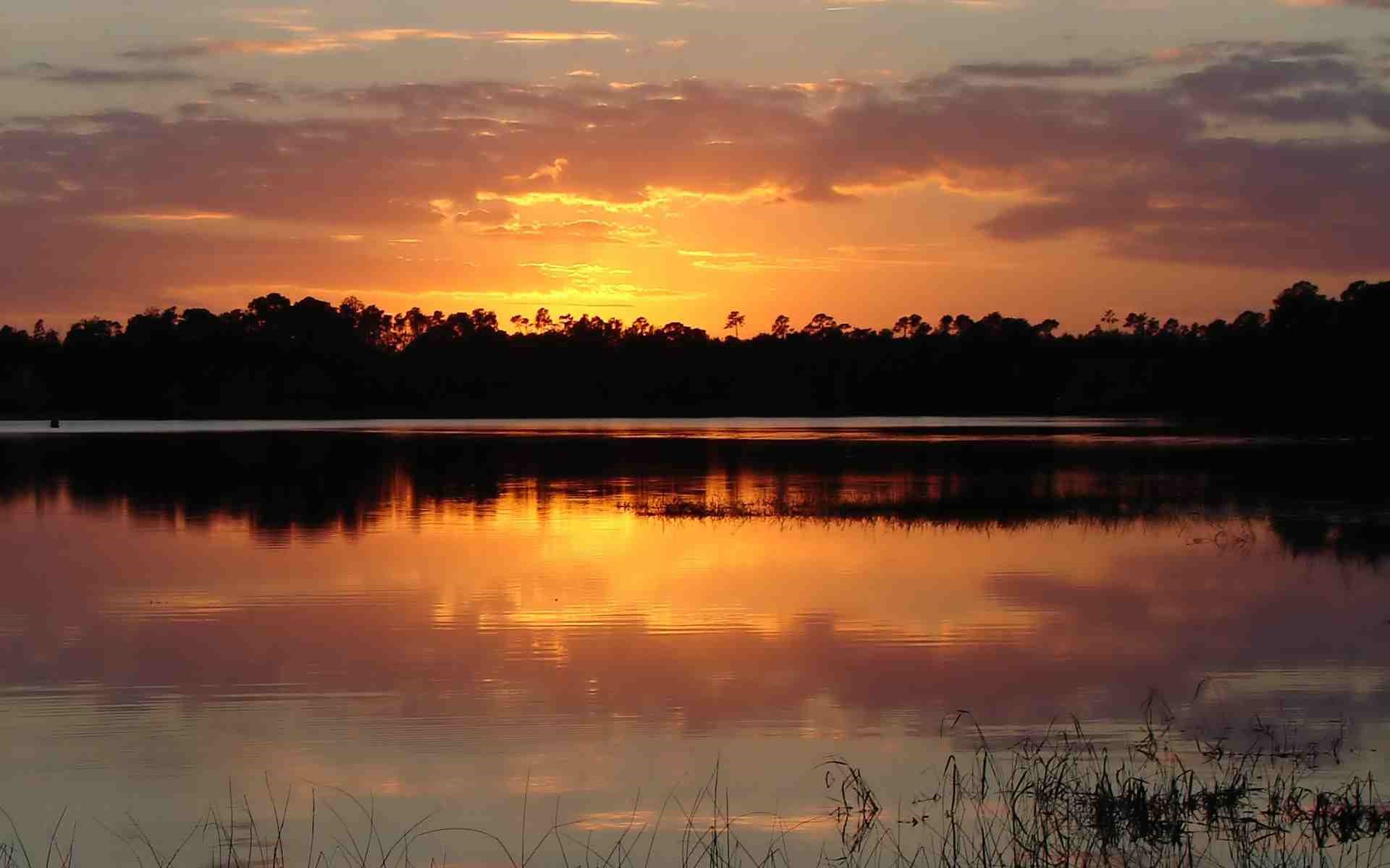 Sunset over a lake with silhouetted trees HD Wallpaper