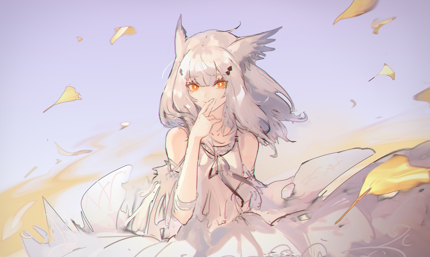 Ptilopsis from Arknights with silver hair and yellow eyes HD Wallpaper