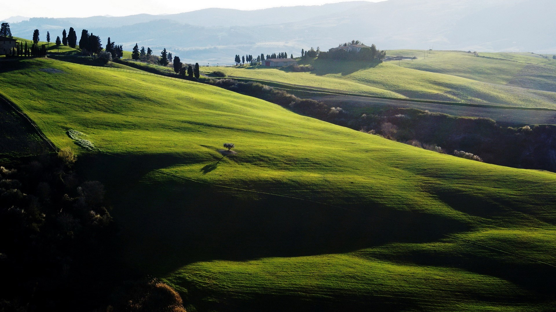 Rolling green hills with trees and a distant house HD Wallpaper