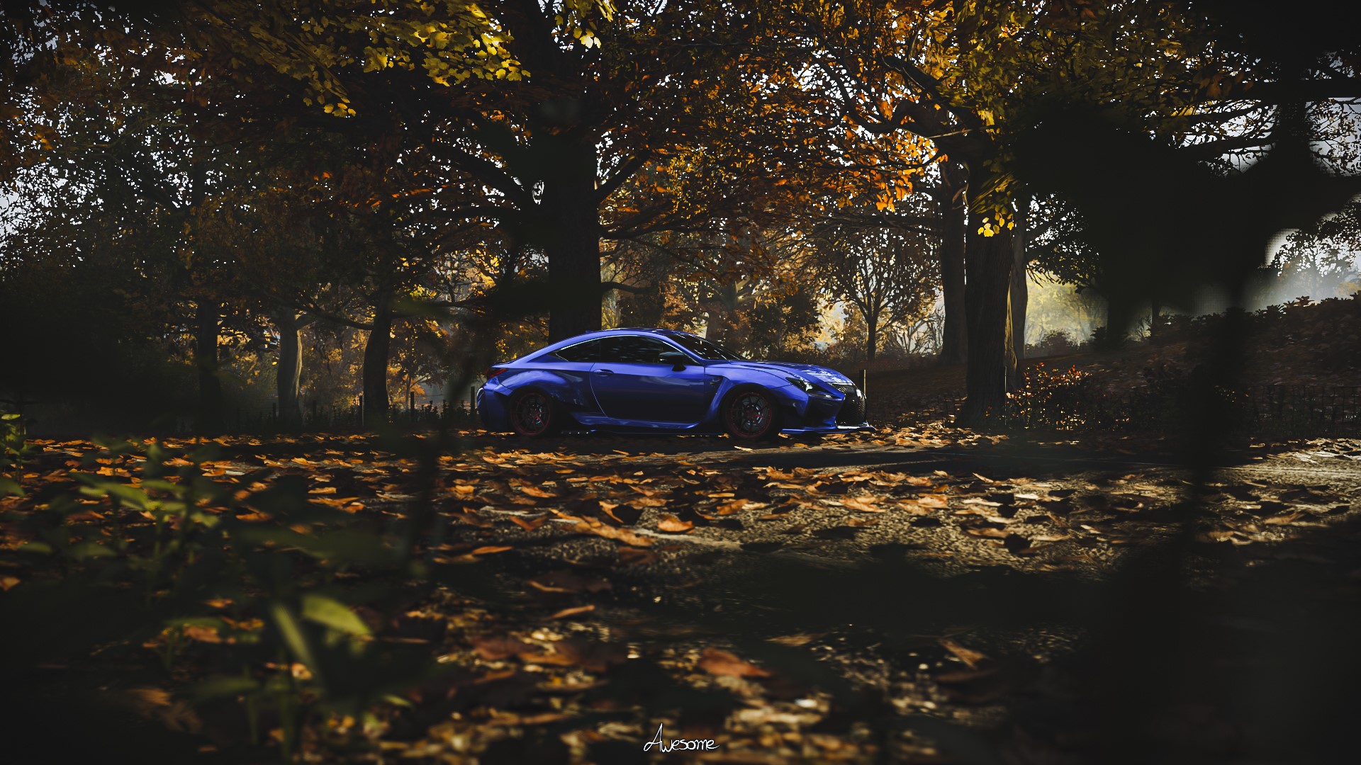 Blue Lexus RC F in a forest during autumn HD Wallpaper