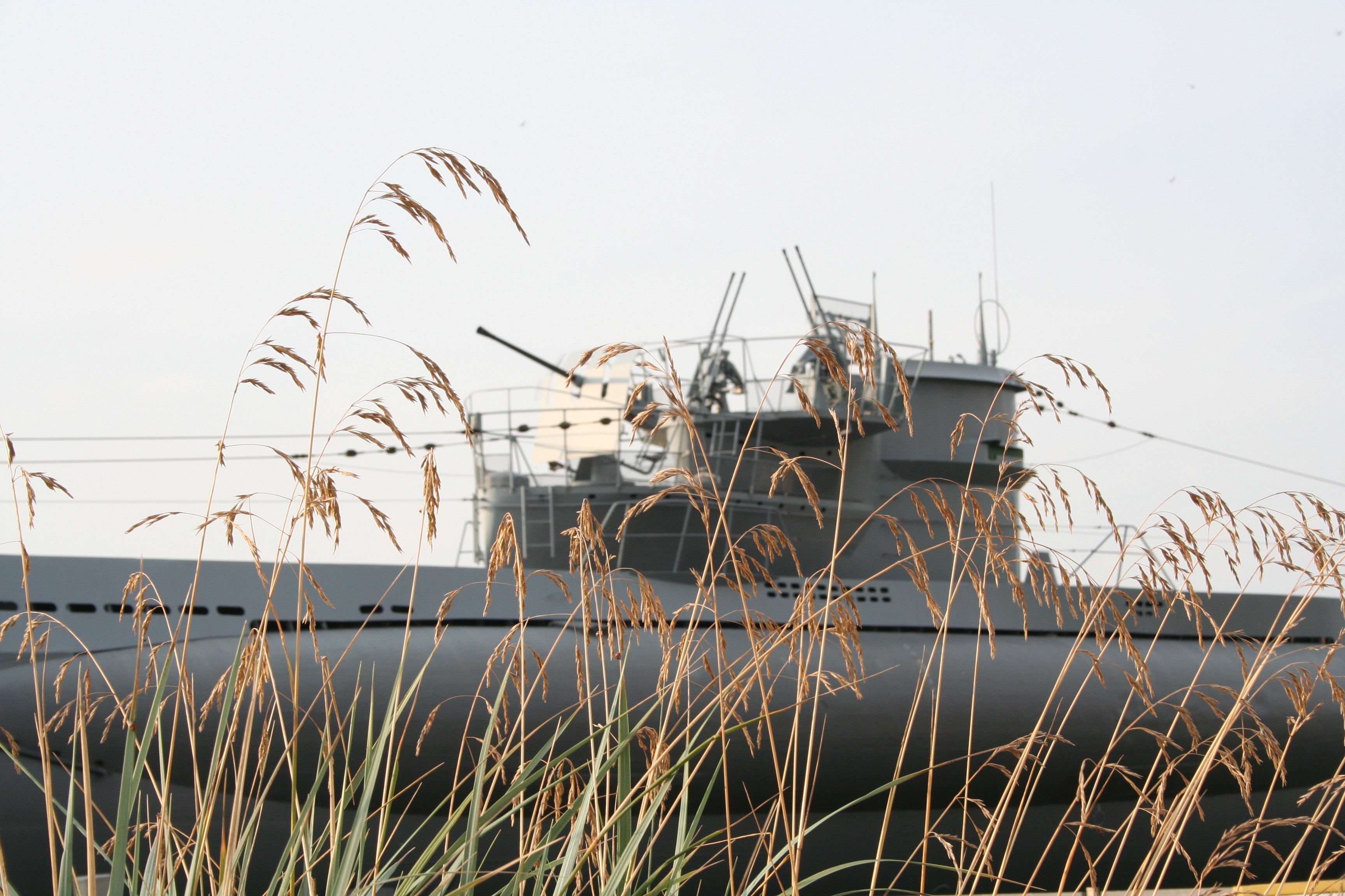 Submarine with dry grass in foreground HD Wallpaper