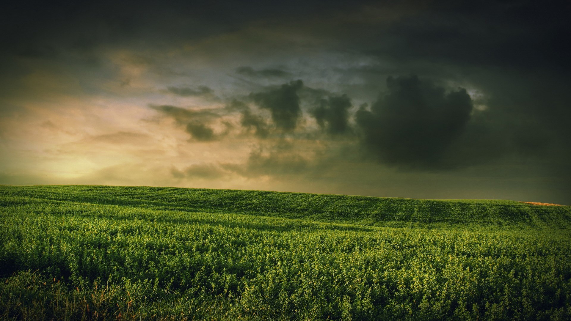 Green rolling hills under a stormy sky HD Wallpaper
