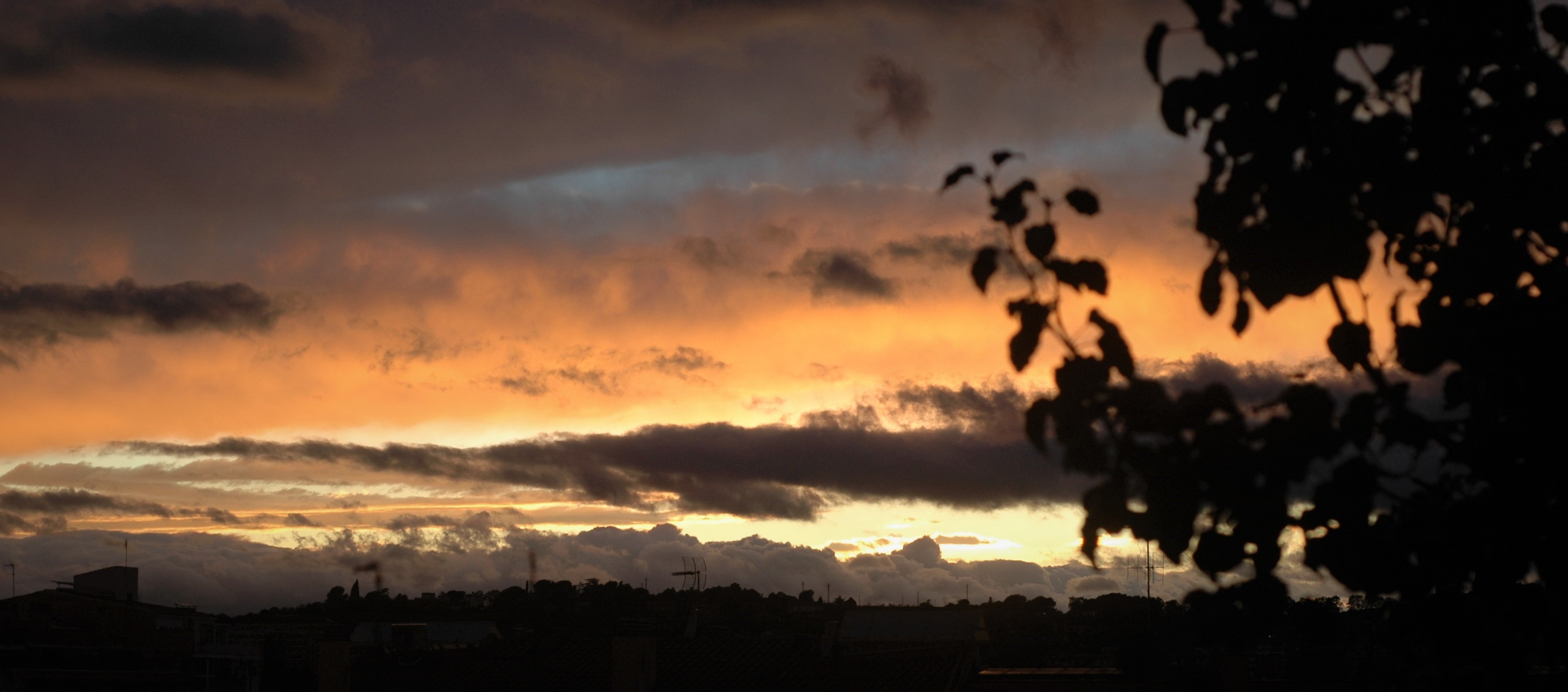 Sunset over a silhouetted landscape with tree branches HD Wallpaper