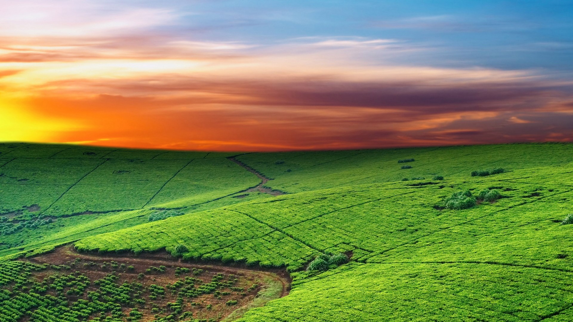 Rolling green hills under a dramatic sunset sky HD Wallpaper