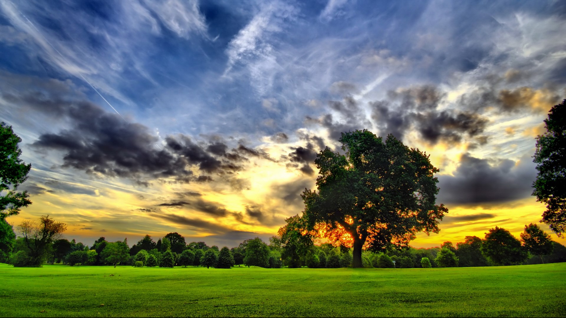 Dramatic sunset over a green field with trees HD Wallpaper