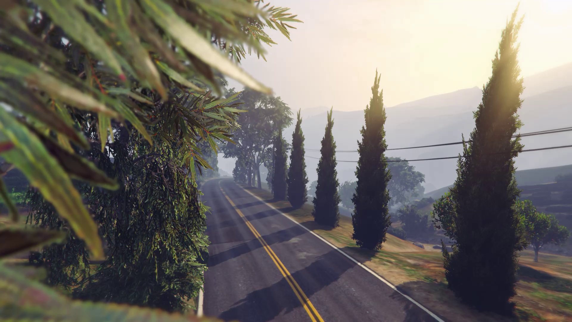 Road through Tongva Hills in Grand Theft Auto V HD Wallpaper