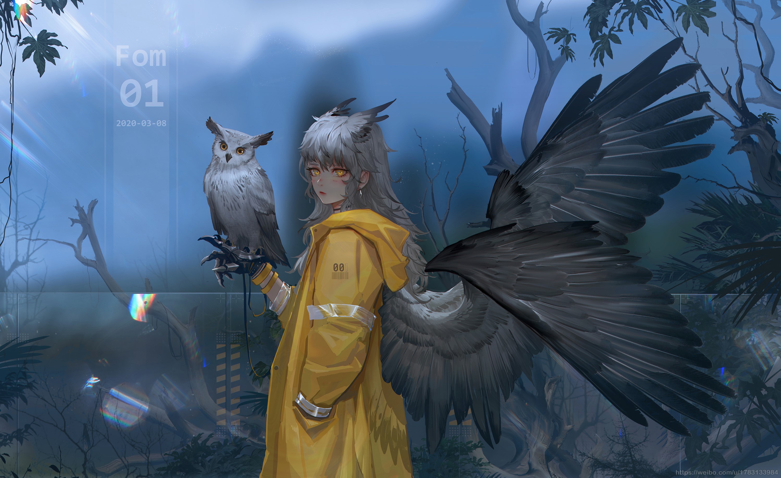 Anime girl with owl and wings in forest HD Wallpaper