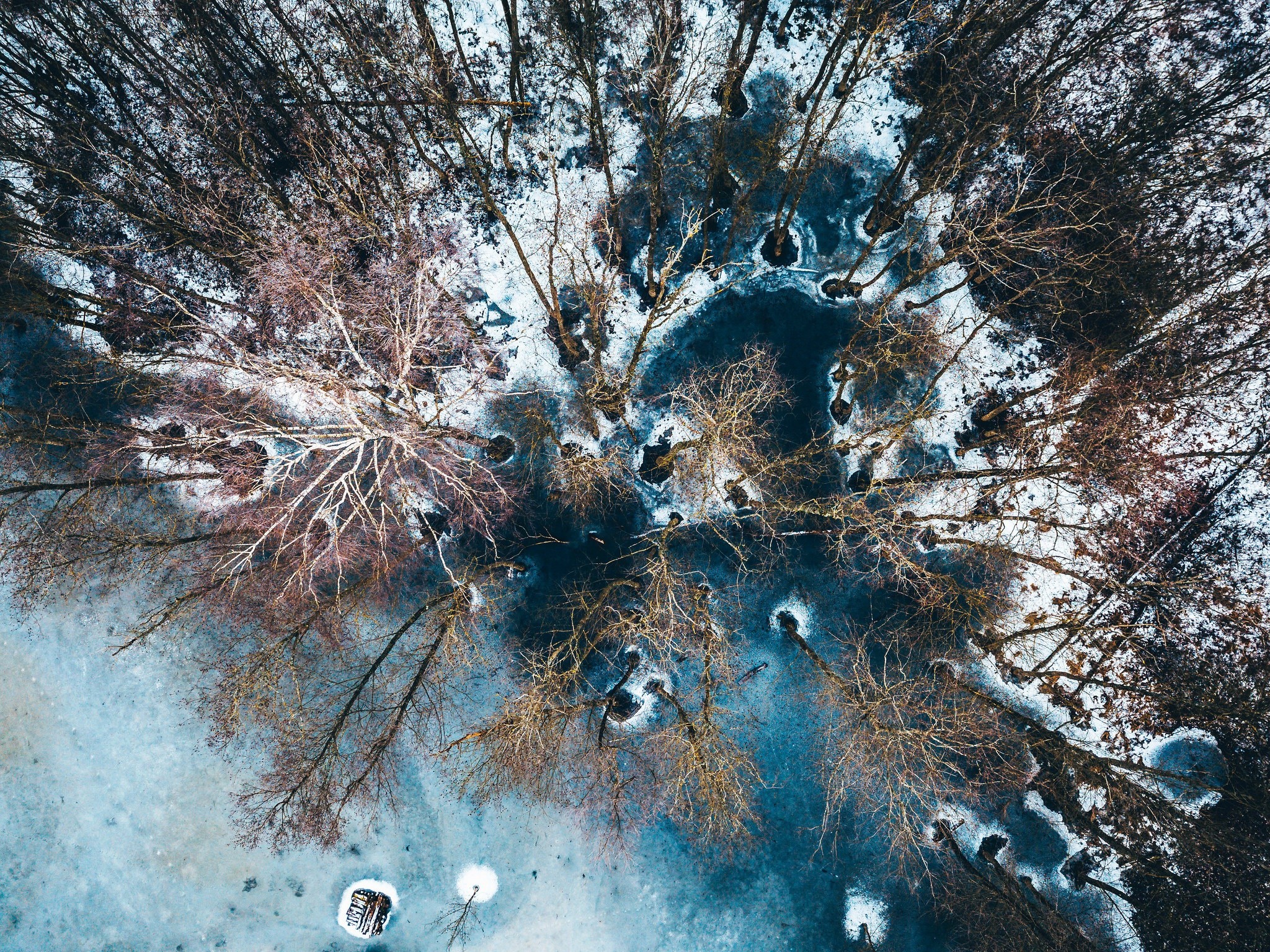 Aerial view of a frozen lake with trees in Lithuania HD Wallpaper