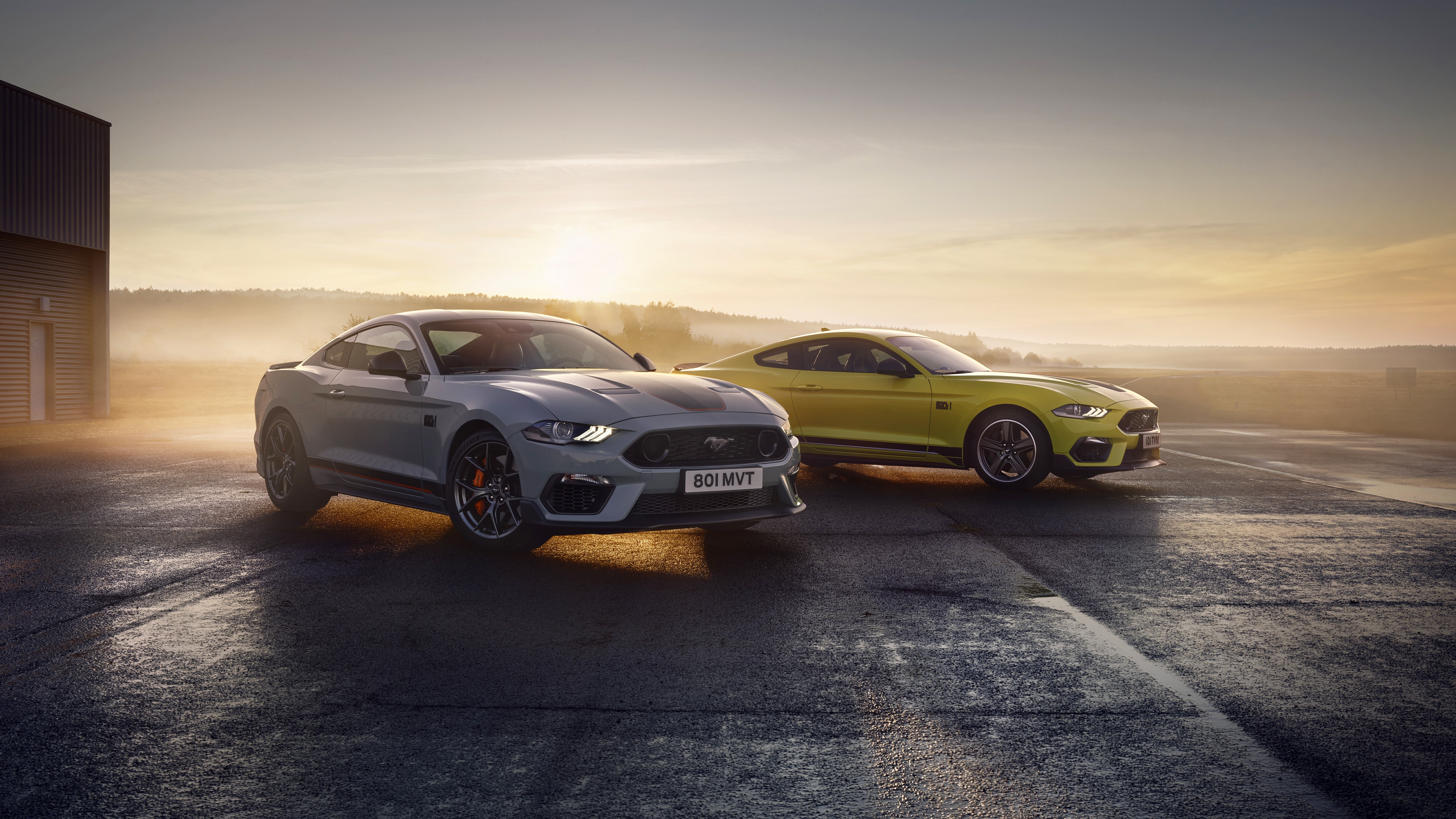 Ford Mustang Mach 1 cars at sunrise HD Wallpaper