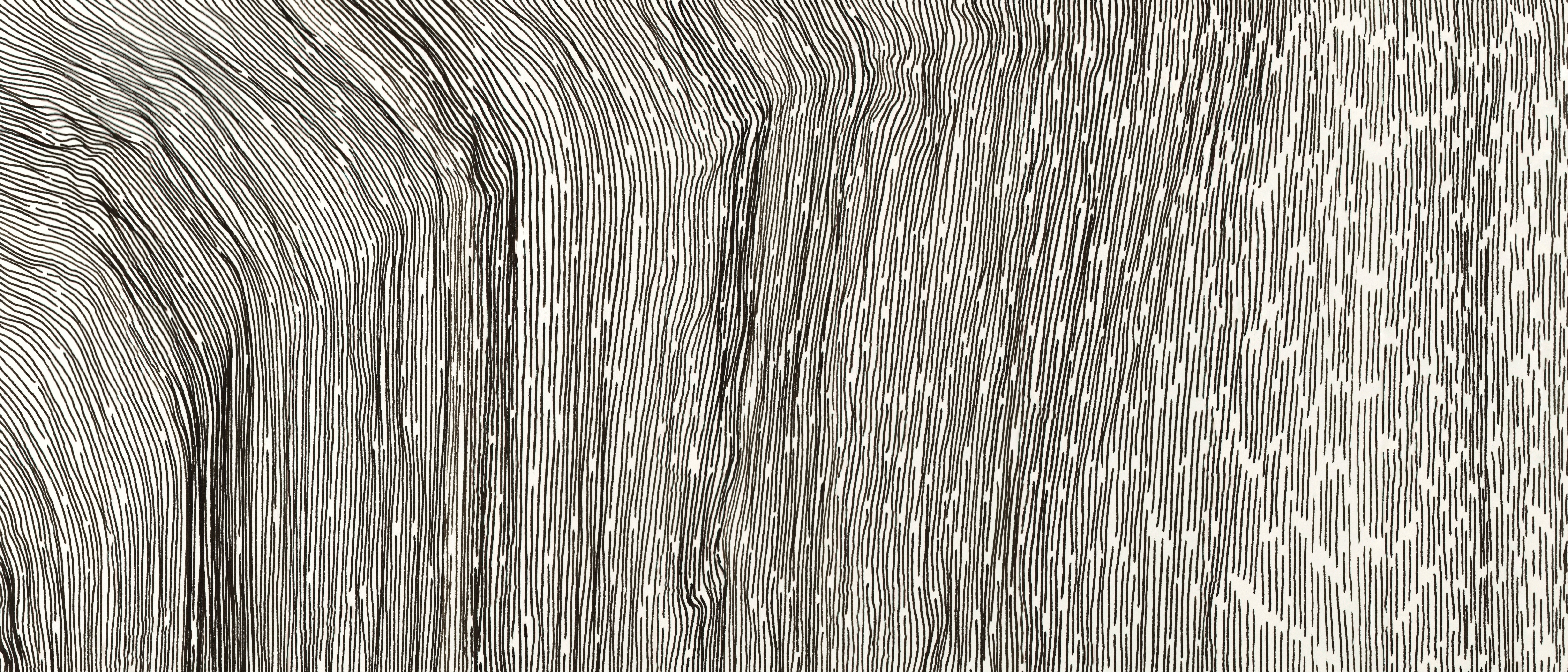 Abstract ink drawing with flowing lines HD Wallpaper