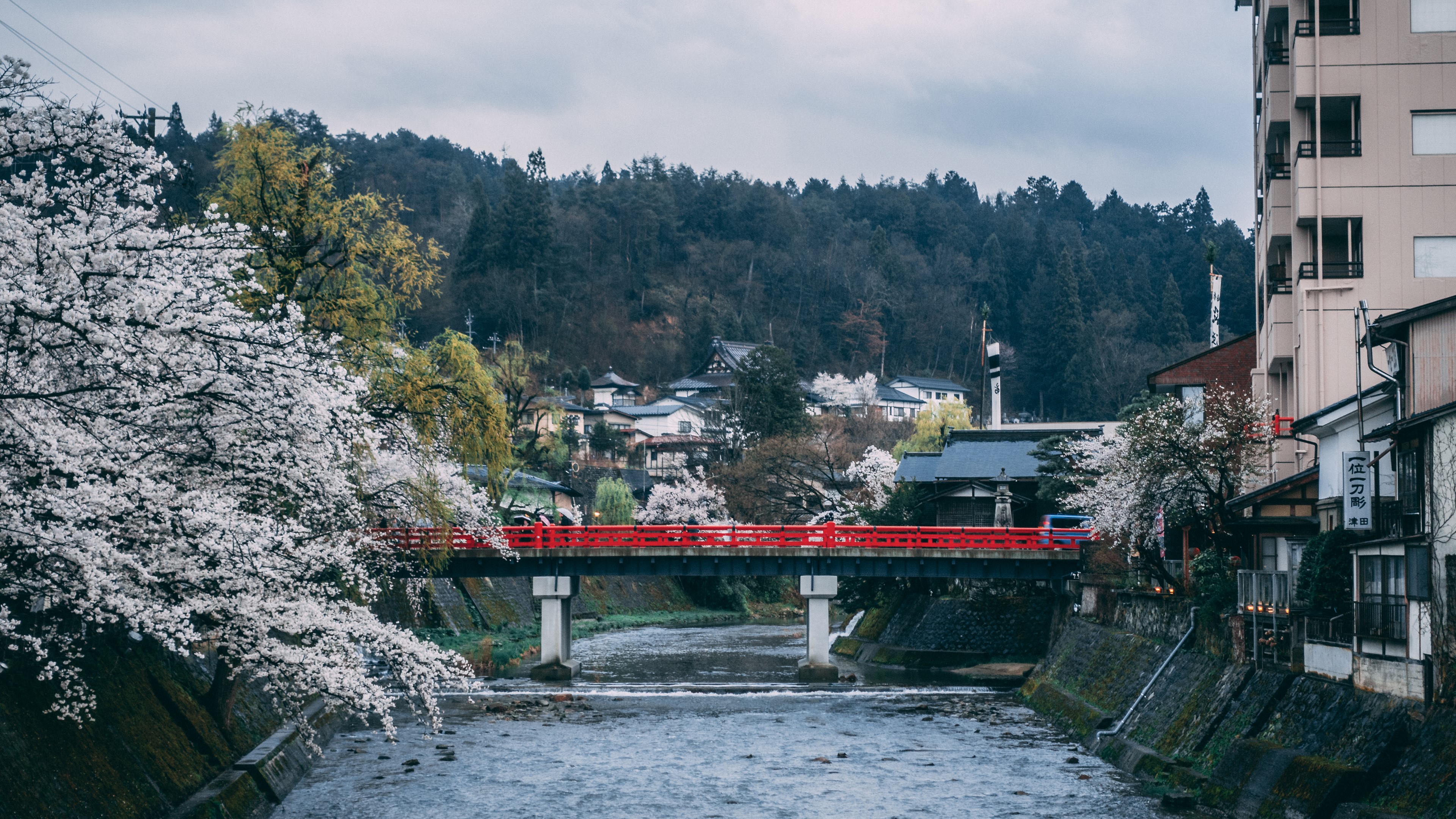 4K Japan bridge over river with cherry blossoms in Takayama HD Wallpaper