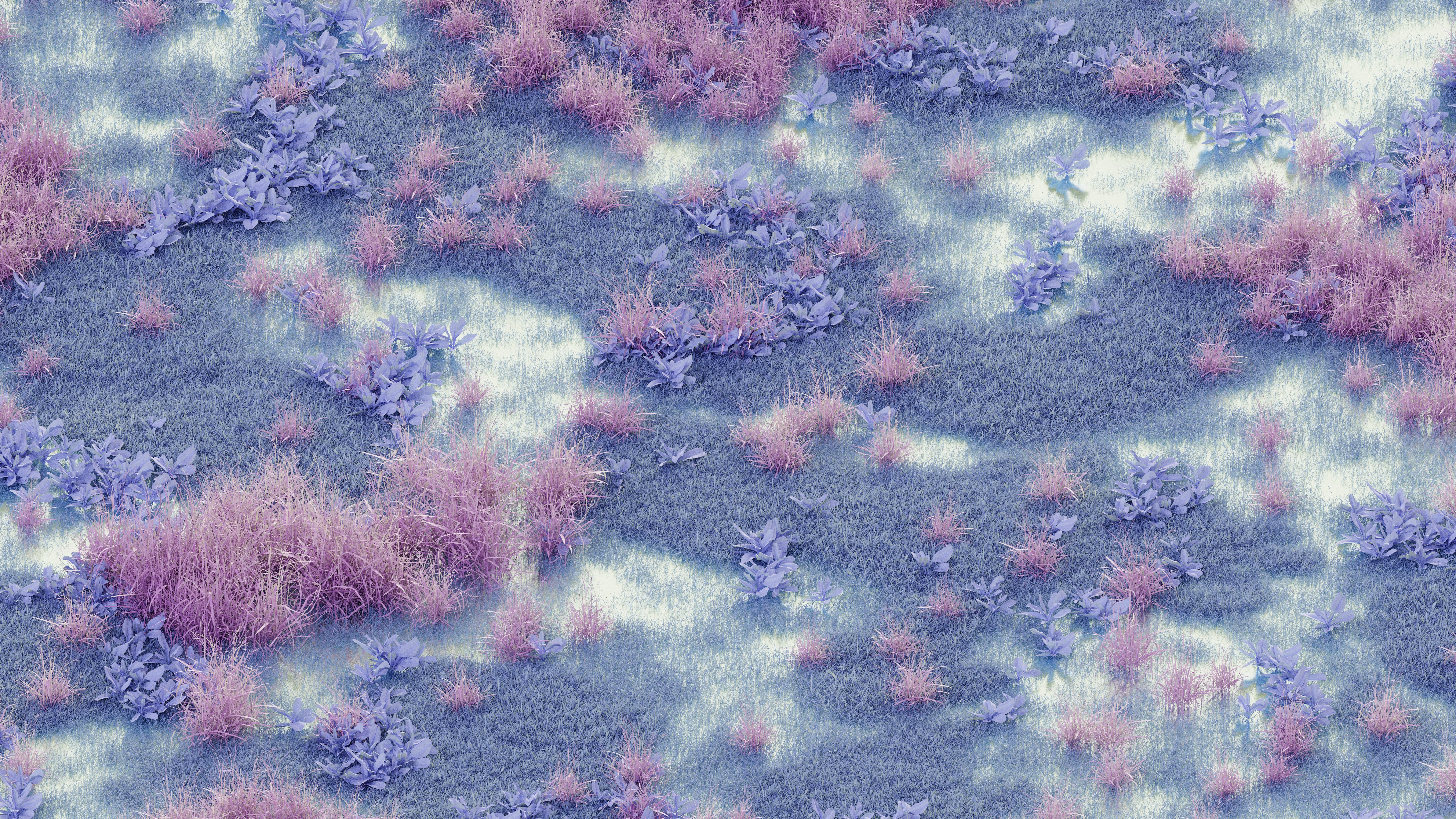 Pastel grass and plants, digital nature HD Wallpaper
