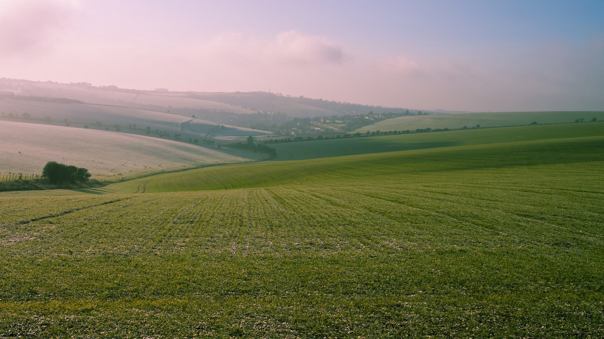 Rolling green hills under a soft pink sky HD Wallpaper