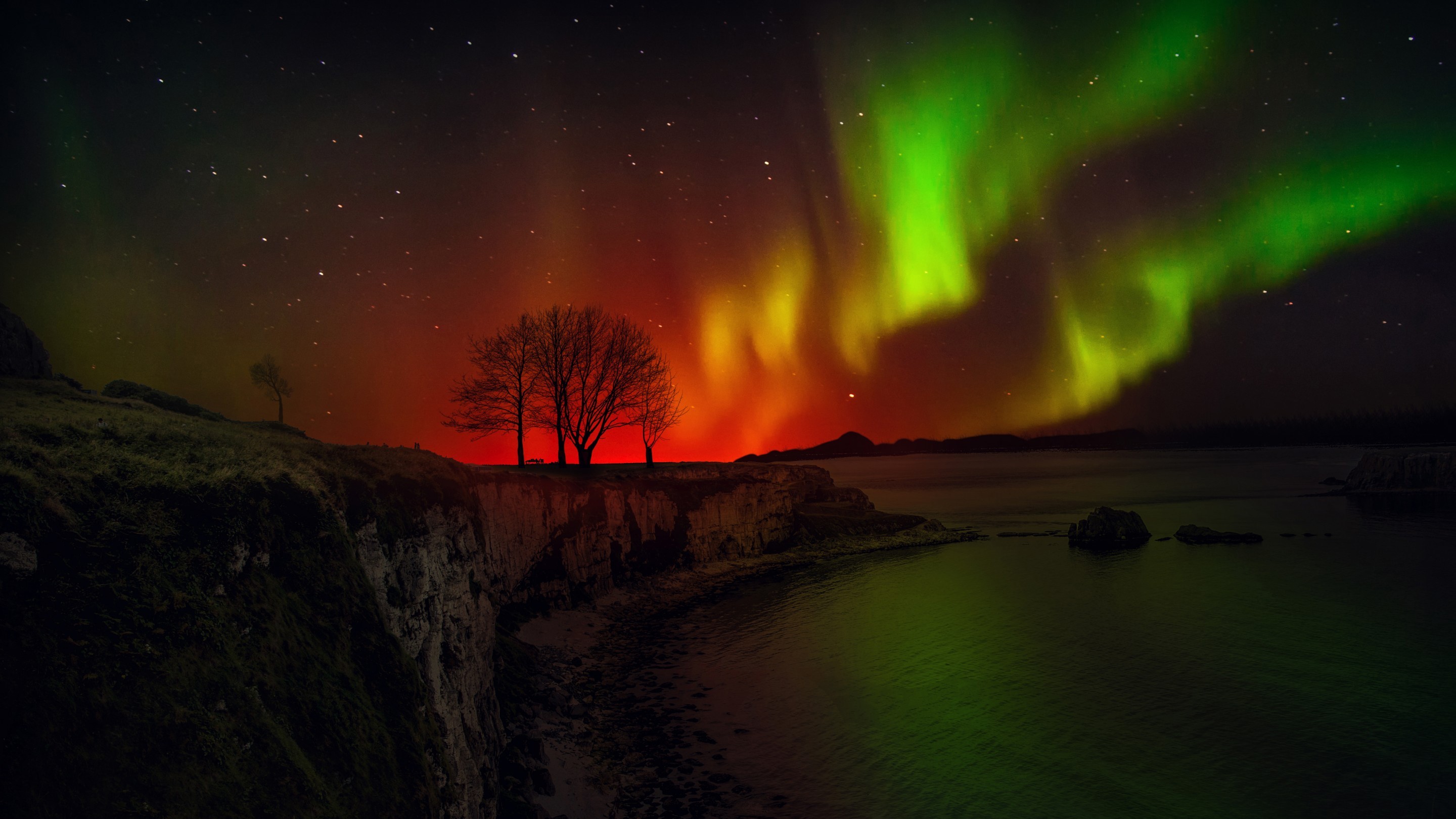 Aurora Borealis over a cliffside with trees HD Wallpaper