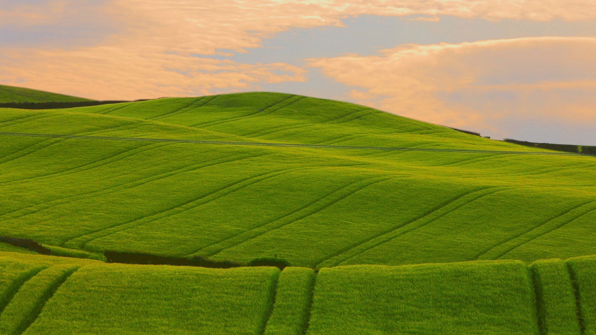 Rolling green hills with tractor marks under a cloudy sky HD Wallpaper