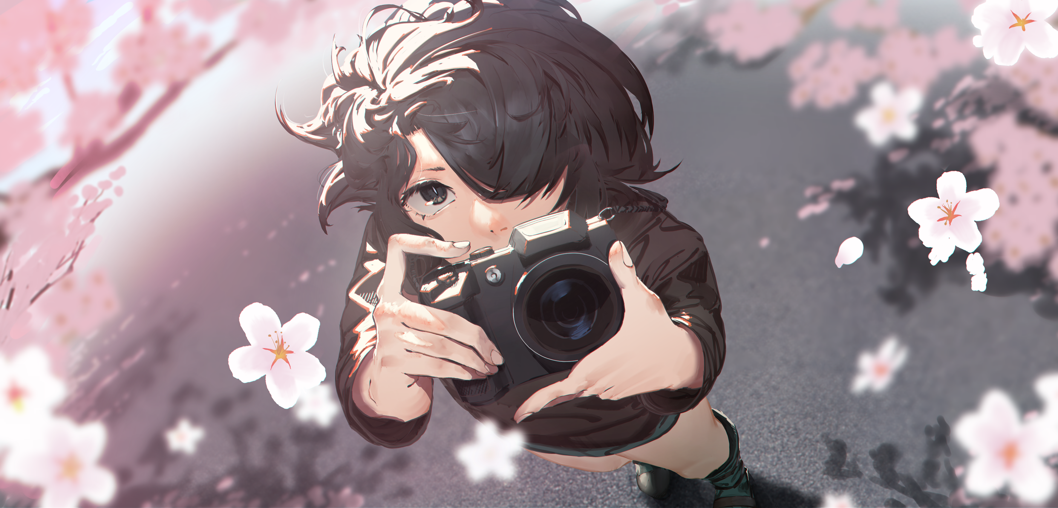 Girl with camera among cherry blossoms HD Wallpaper