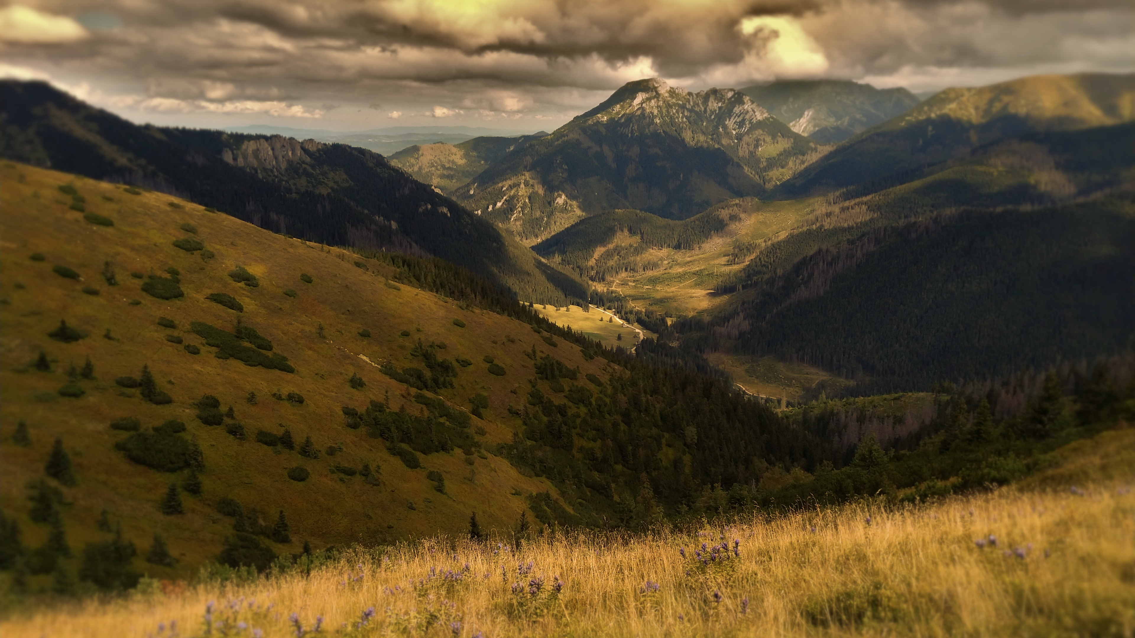 Mountain landscape with valley and clouds HD Wallpaper
