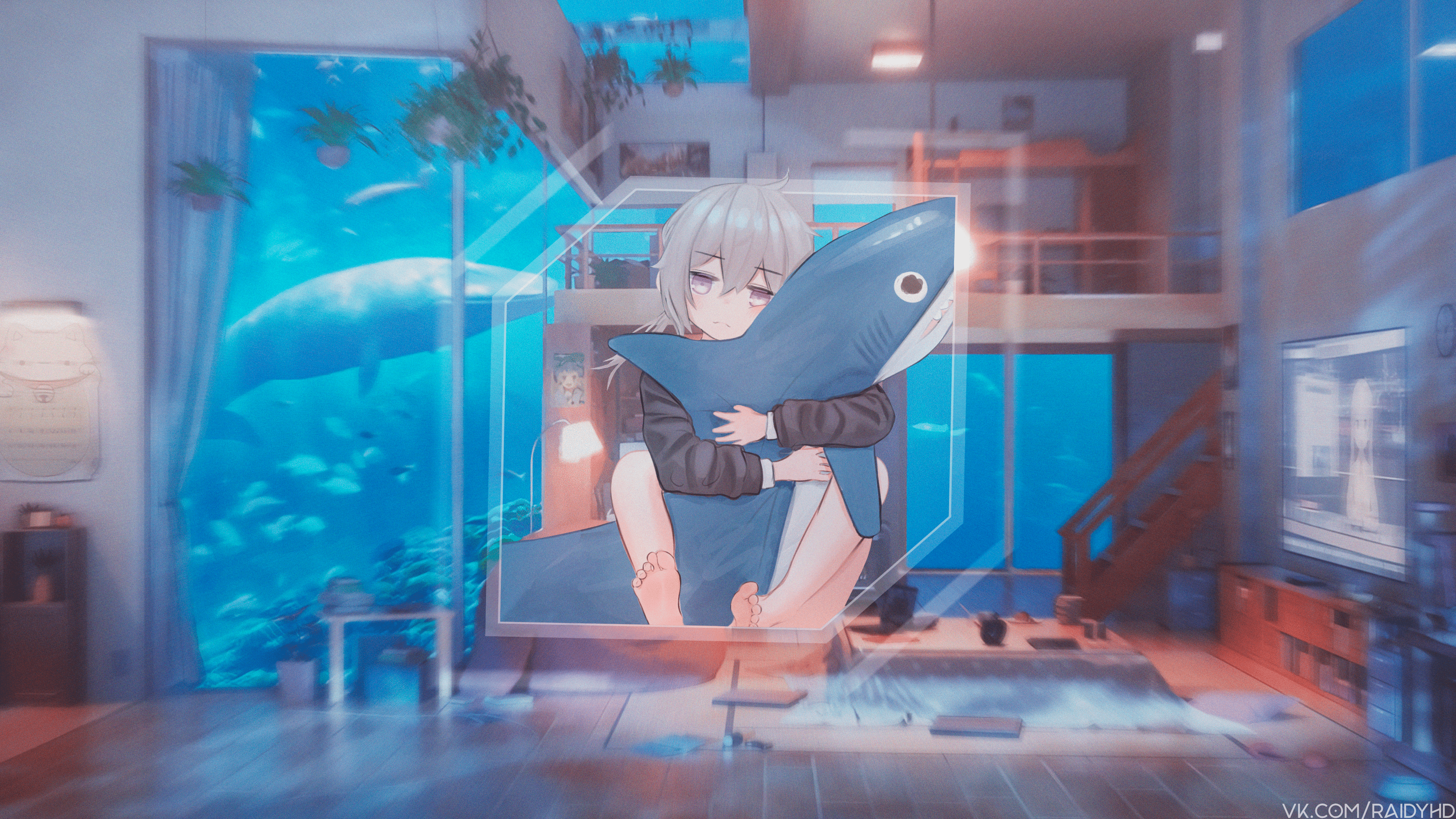4K Anime Girl Sitting with Shark Plush HD Wallpaper