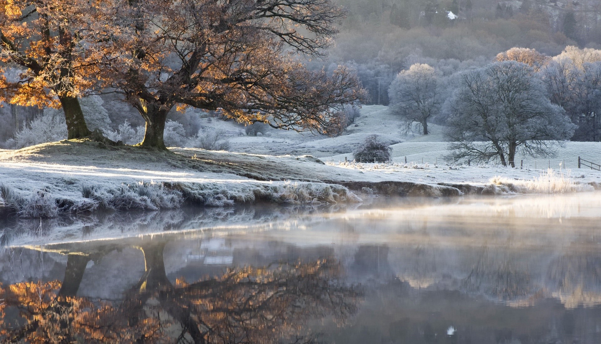 Frosted trees reflected in misty water at sunrise HD Wallpaper