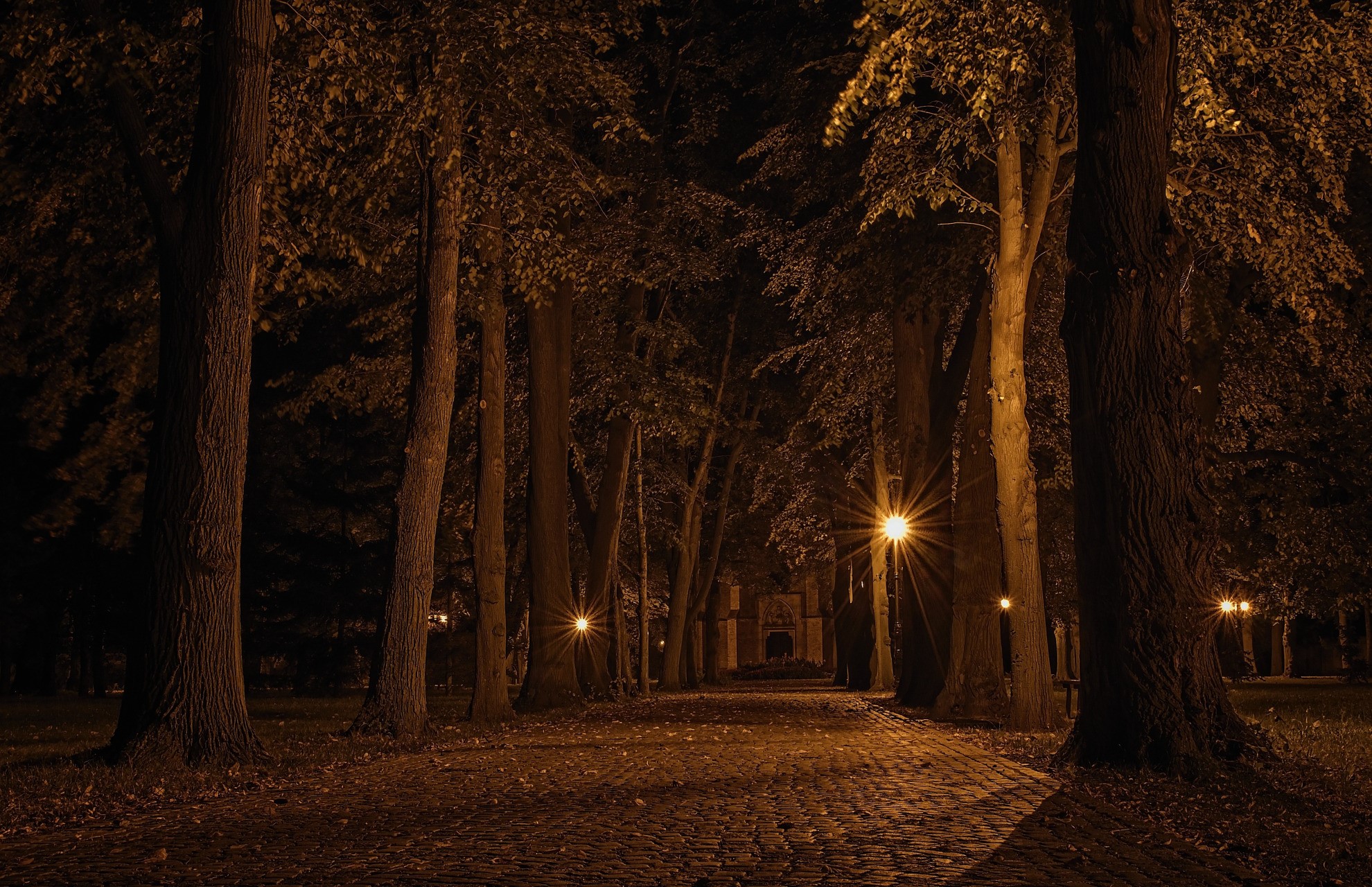 Park pathway at night with streetlights and trees HD Wallpaper