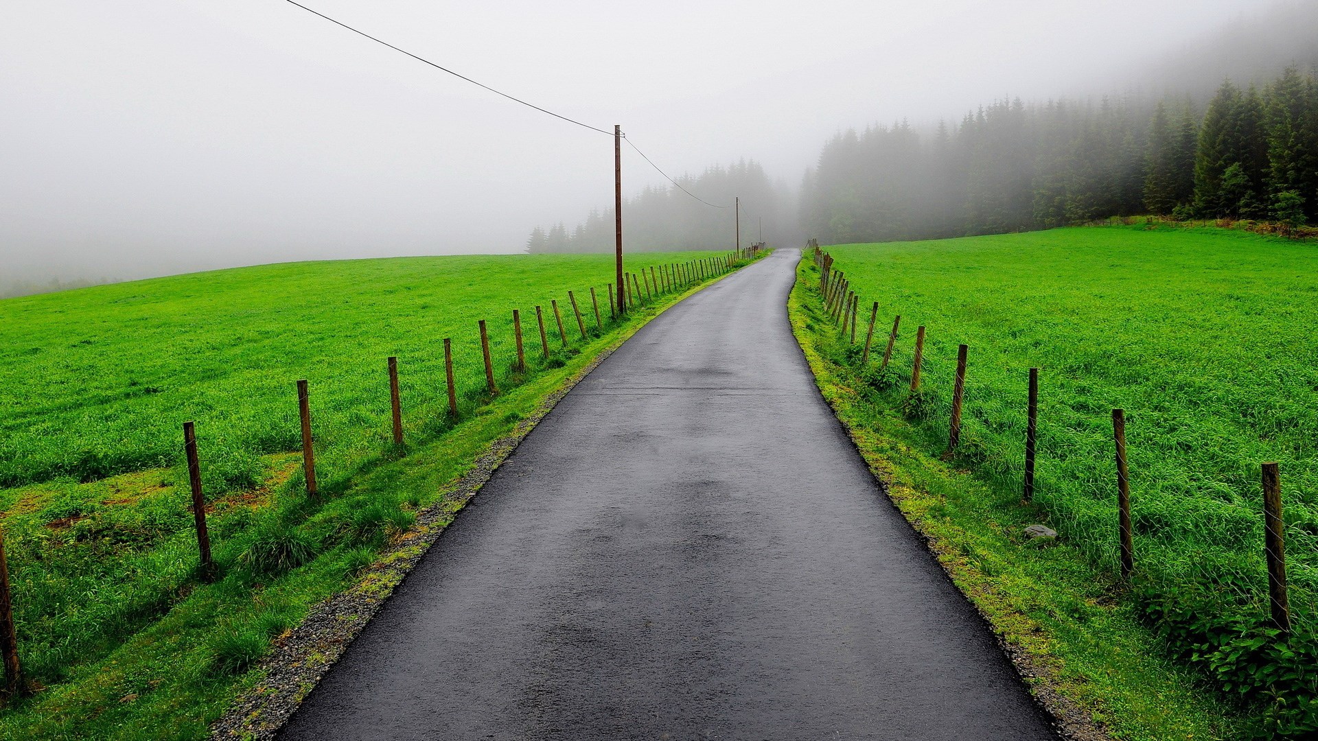 A winding road through green fields and a foggy forest HD Wallpaper